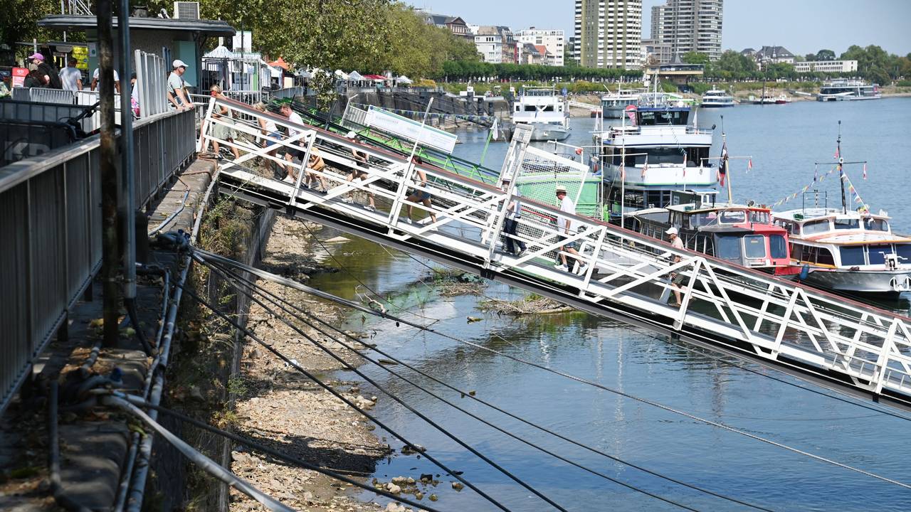 Dank des Regens steigt der Pegel am Rhein langsam wieder an. Von Normalzustand ist der Fluss aber noch weit entfernt.