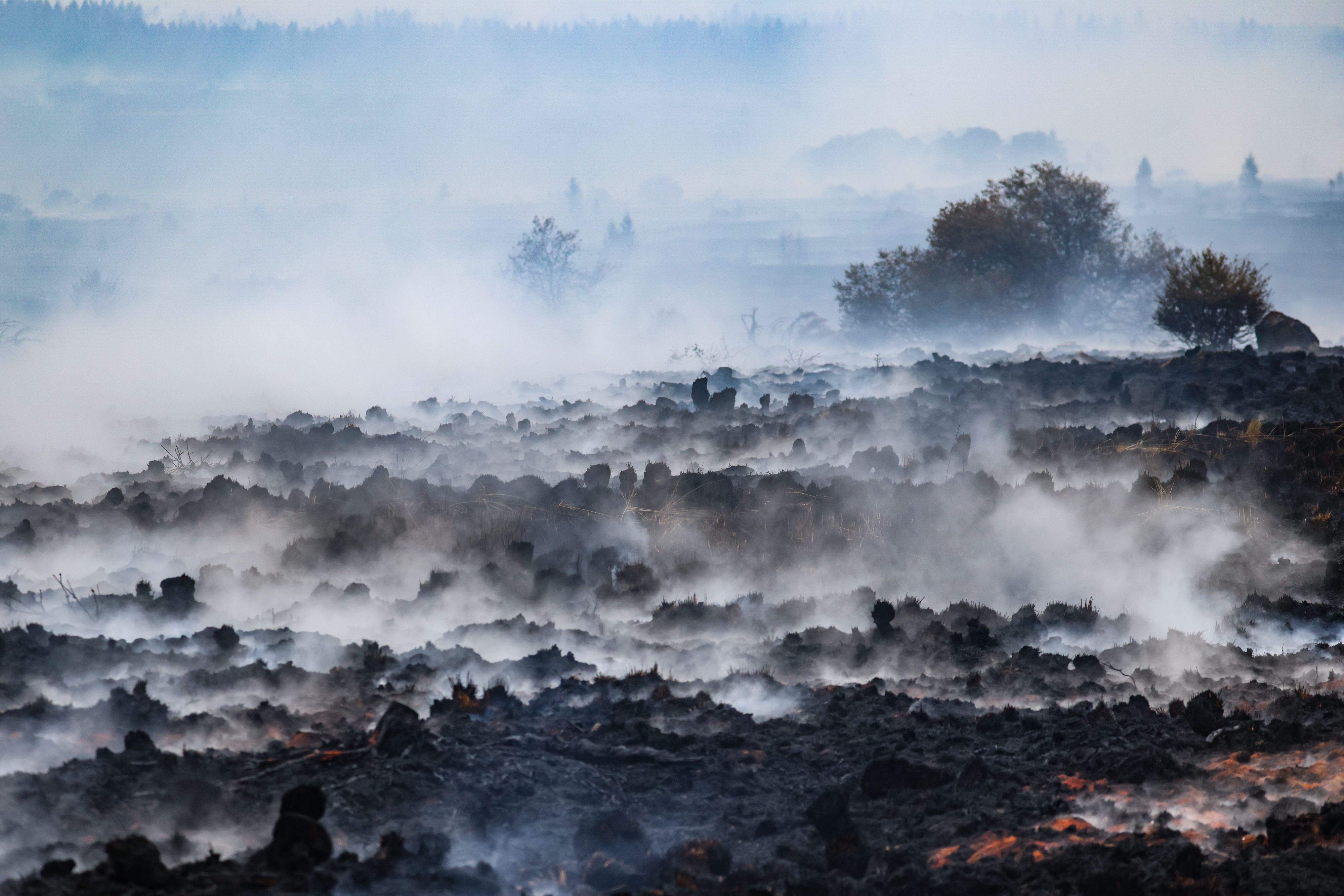 Rauch schwebt über der verbrannten Landschaft im Naturschutzgebiet Hohes Venn.