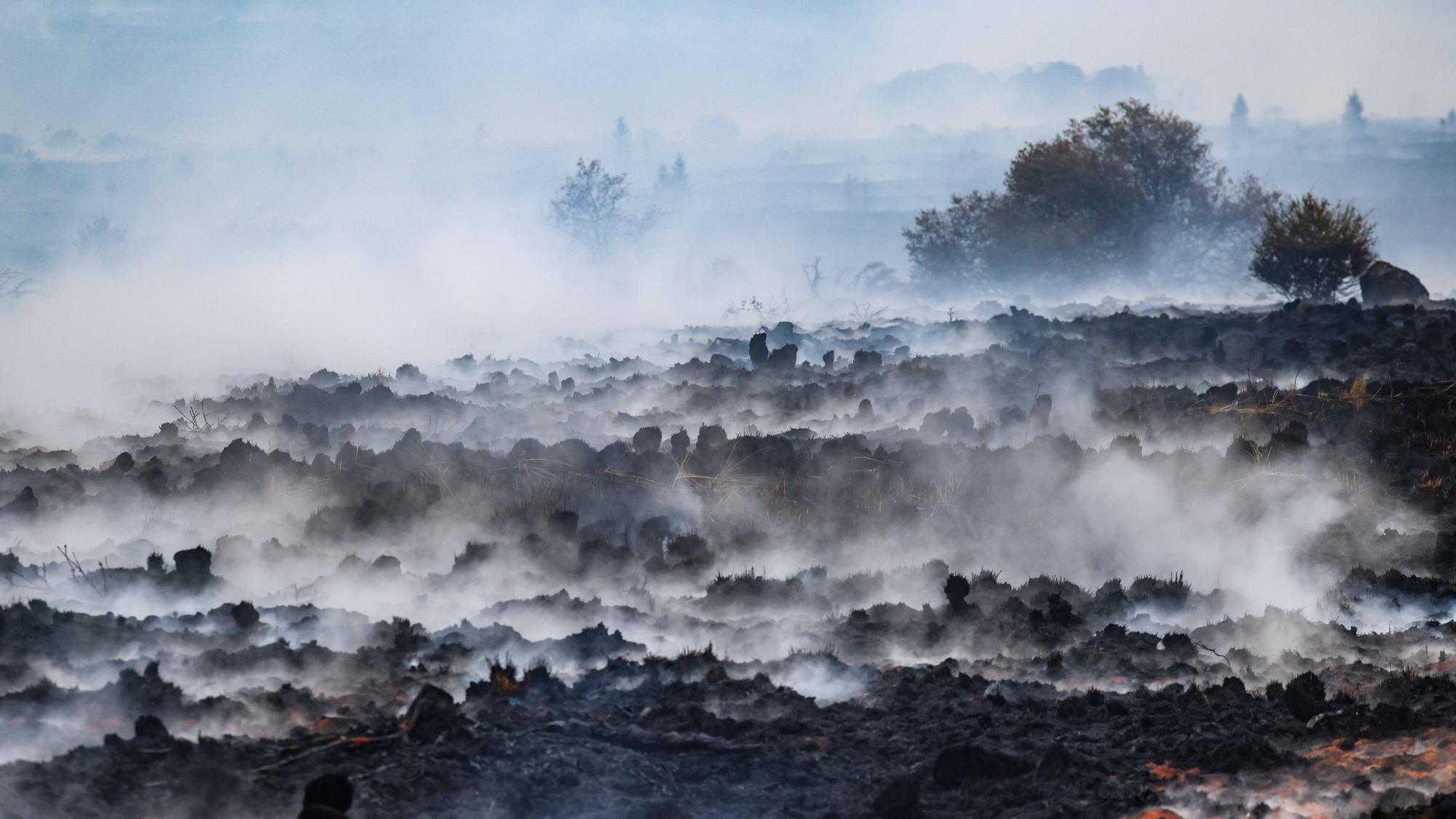 Rauch schwebt über der verbrannten Landschaft im Naturschutzgebiet Hohes Venn.