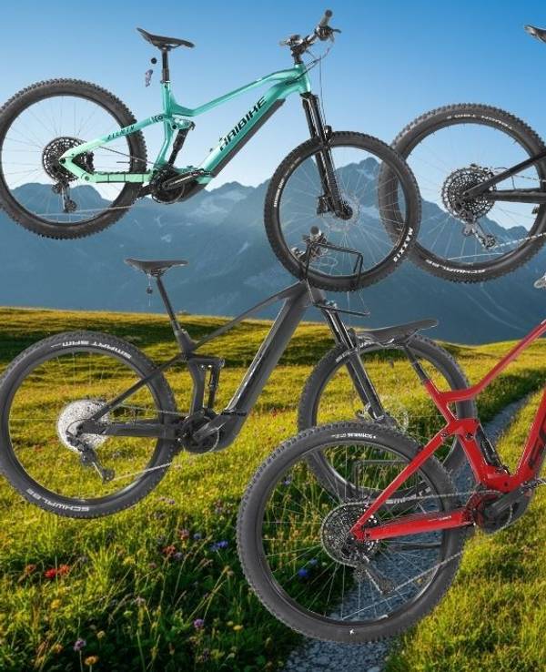 Mehrere refurbished E-Mountainbikes verschiedener Marken vor alpiner Bergkulisse.