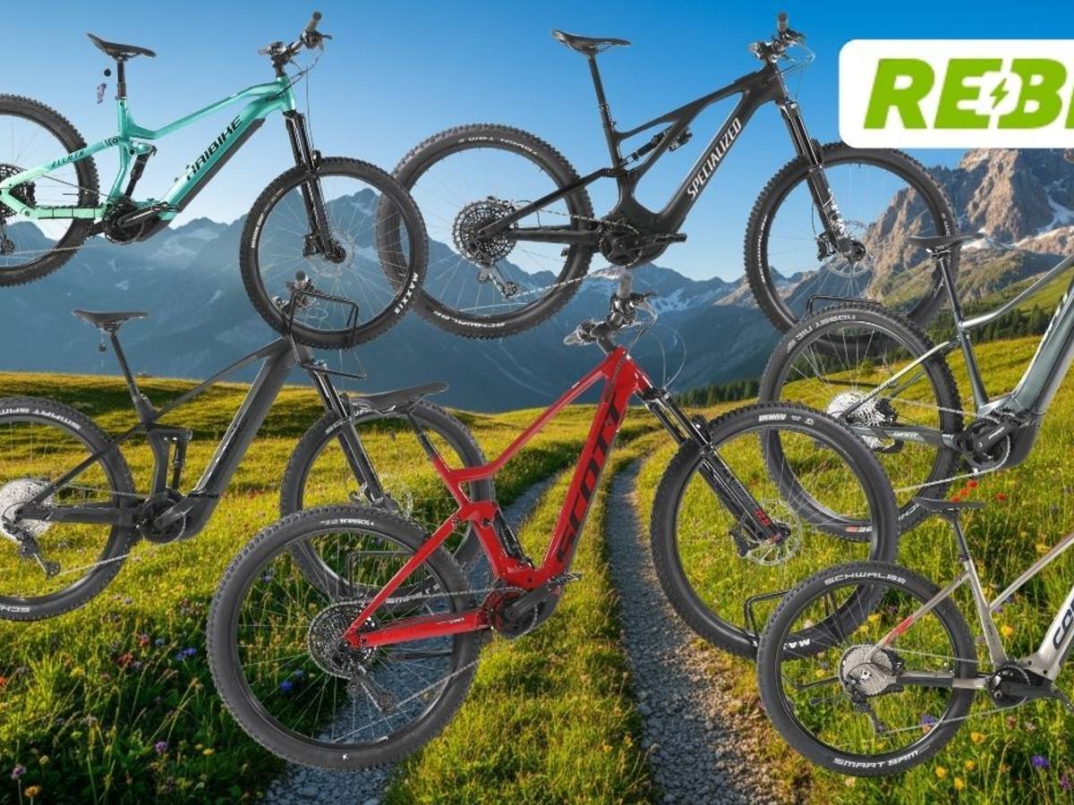 Mehrere refurbished E-Mountainbikes verschiedener Marken vor alpiner Bergkulisse.