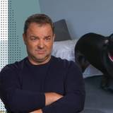Bei Labrador Socke ist einiges in der Erziehung falschgelaufen, wie Martin Rütter den Herrchen bescheinigt. (Bild: RTL)