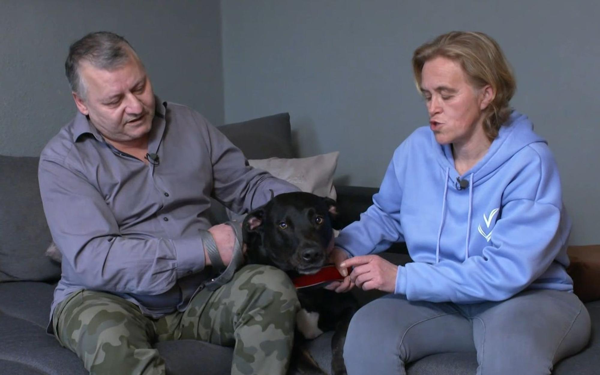 Ob bei Besuchern oder beim Spazieren draußen: Labrador Socke hält Falk und Katja ganz schön auf Trab. (Bild: RTL)