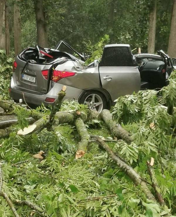 Ein heftiger Wirbelsturm fegte am Samstag in Richtung Norden über die drei baltischen Staaten hinweg und forderte zwei Todesopfer. Das Foto vom litauischen Wetterdienst zeigt einen Wagen, der von einem umgekippten Baum zerstört wurde.