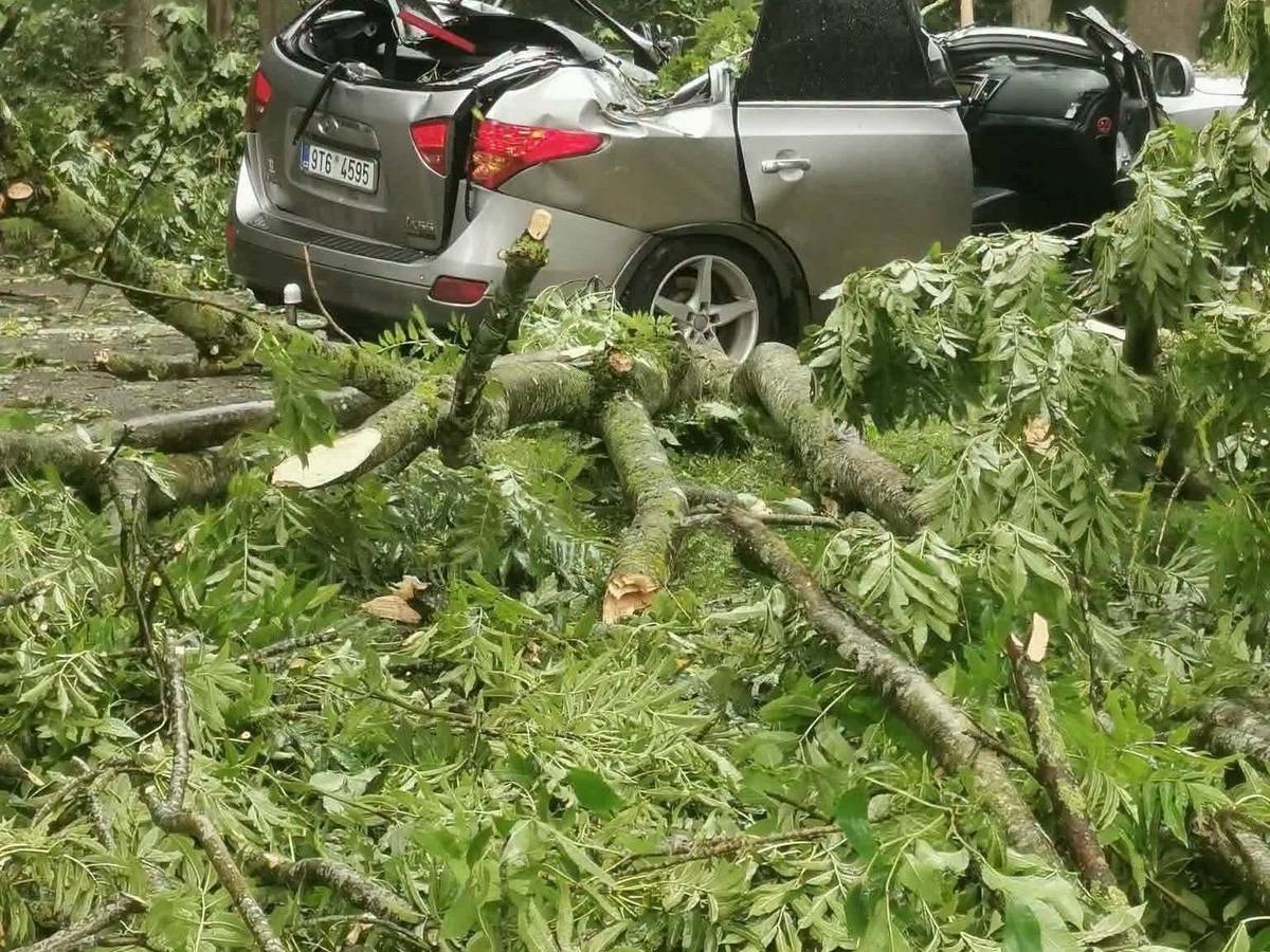 Ein heftiger Wirbelsturm fegte am Samstag in Richtung Norden über die drei baltischen Staaten hinweg und forderte zwei Todesopfer. Das Foto vom litauischen Wetterdienst zeigt einen Wagen, der von einem umgekippten Baum zerstört wurde.