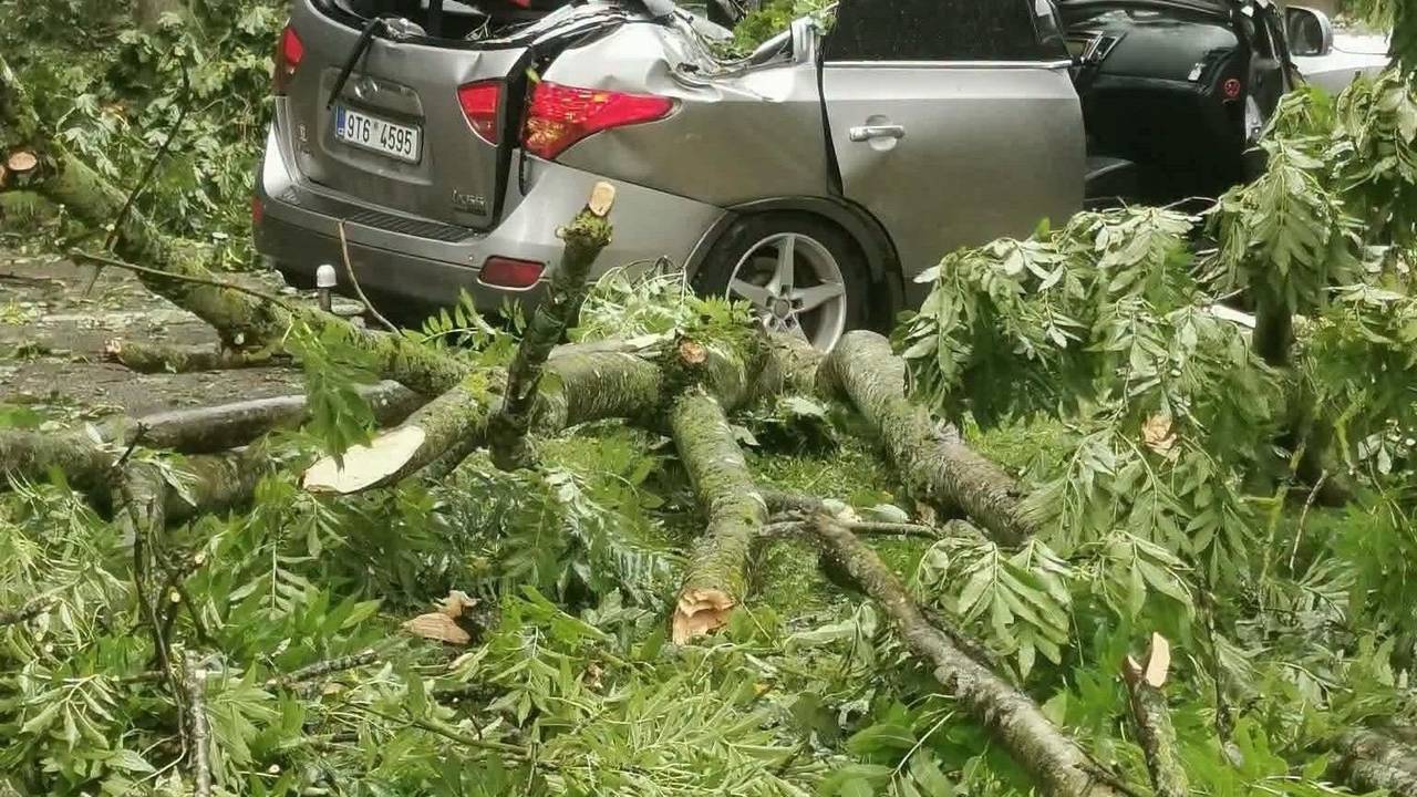 Ein heftiger Wirbelsturm fegte am Samstag in Richtung Norden über die drei baltischen Staaten hinweg und forderte zwei Todesopfer. Das Foto vom litauischen Wetterdienst zeigt einen Wagen, der von einem umgekippten Baum zerstört wurde.