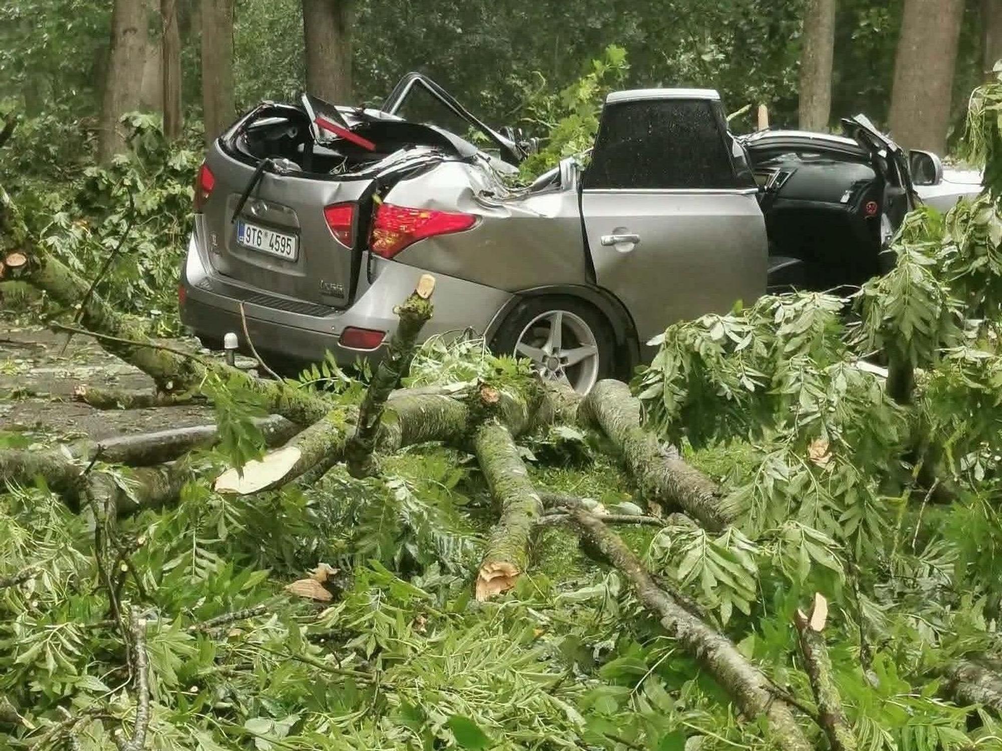 Ein heftiger Wirbelsturm fegte am Samstag in Richtung Norden über die drei baltischen Staaten hinweg und forderte zwei Todesopfer. Das Foto vom litauischen Wetterdienst zeigt einen Wagen, der von einem umgekippten Baum zerstört wurde.