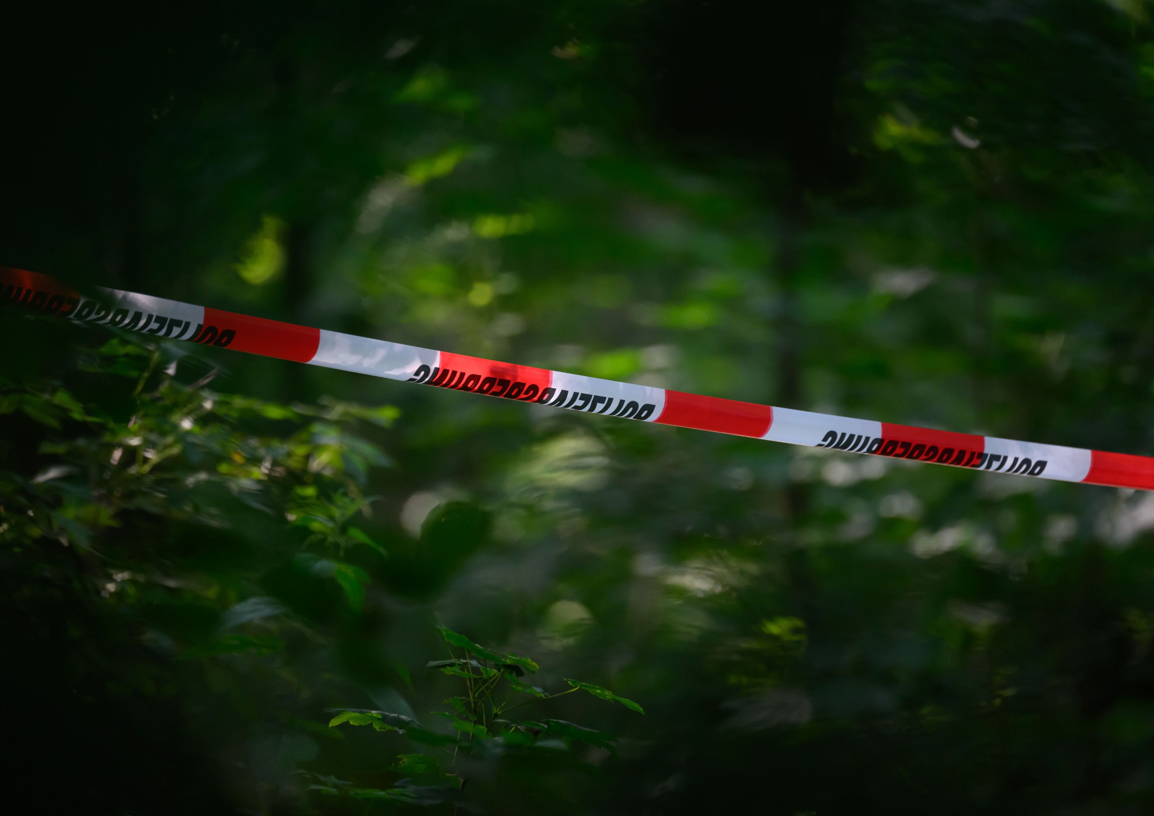 Absperrband der Polizei ist in einem Wald gespannt. (Symbolfoto)
