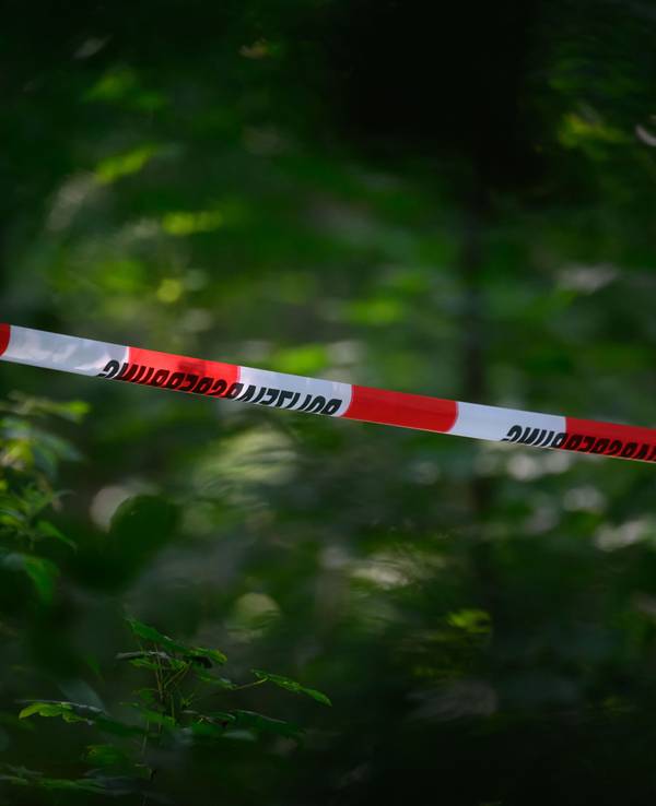 Absperrband der Polizei ist in einem Wald gespannt. (Symbolfoto)