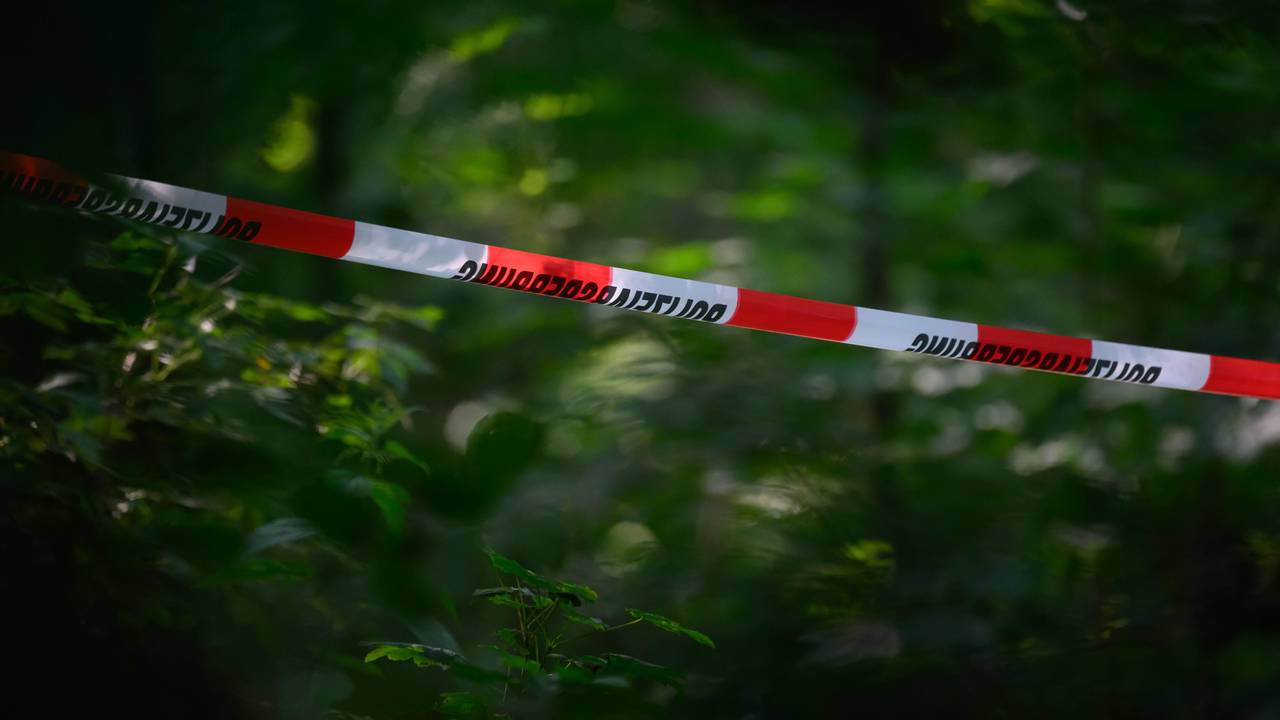 Absperrband der Polizei ist in einem Wald gespannt. (Symbolfoto)