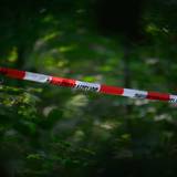 Absperrband der Polizei ist in einem Wald gespannt. (Symbolfoto)