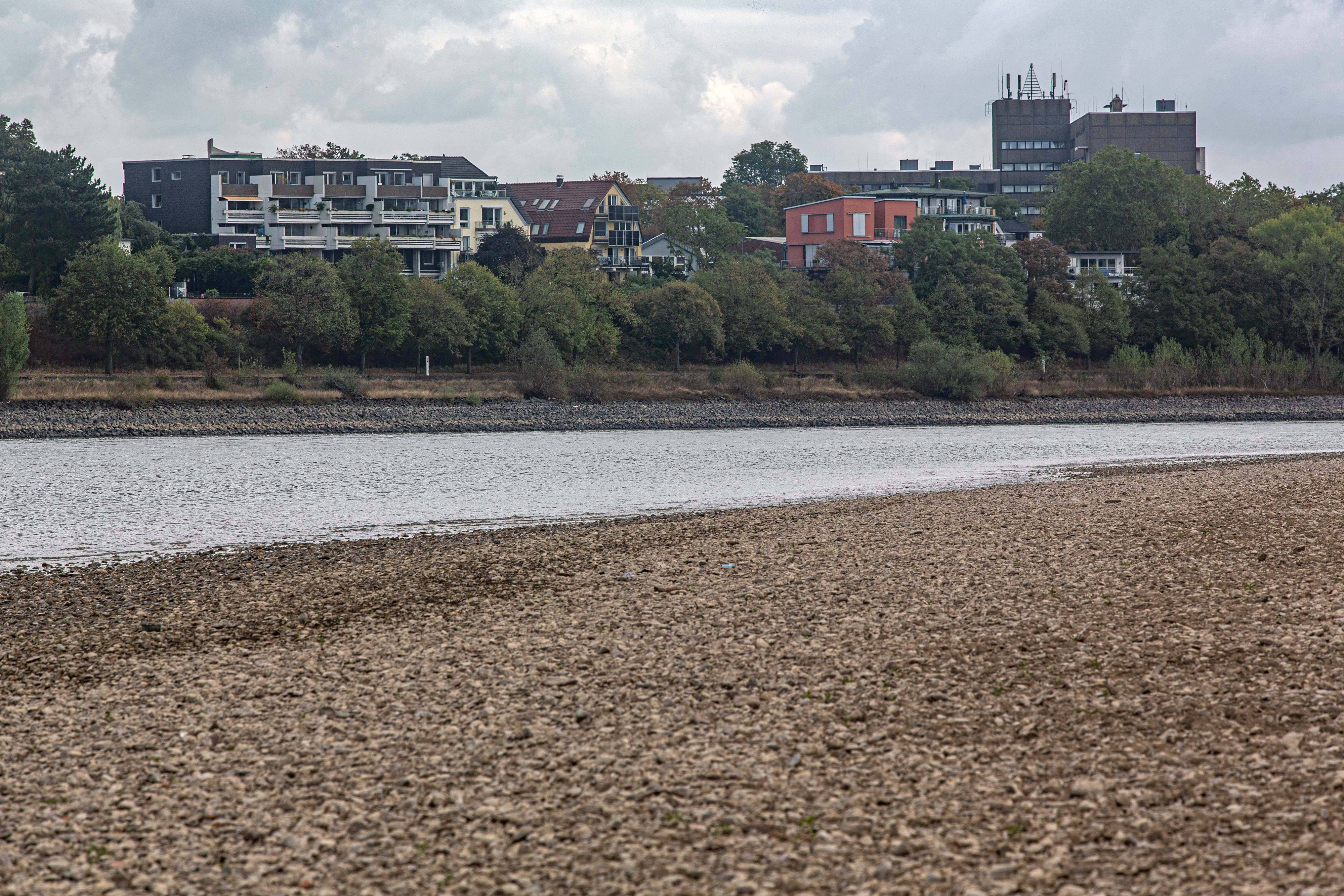 Blick auf das ausgetrocknete Flussbett des Rheins und Porz auf der rechten Rheinseite, gesehen vom Weißer Rheinbogen bei Köln-Sürth.