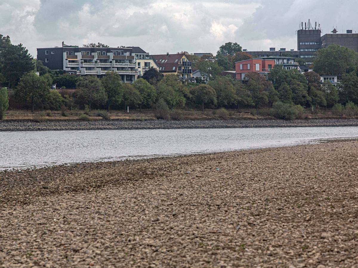 Blick auf das ausgetrocknete Flussbett des Rheins und Porz auf der rechten Rheinseite, gesehen vom Weißer Rheinbogen bei Köln-Sürth.
