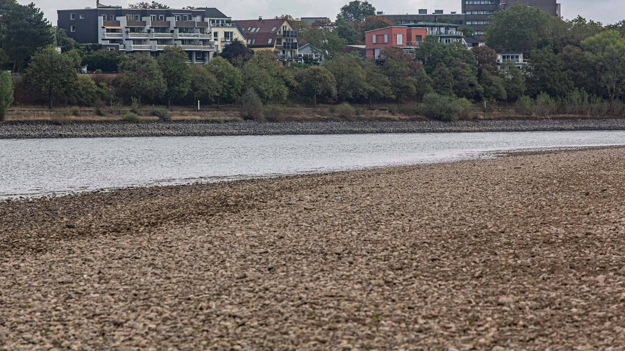 Blick auf das ausgetrocknete Flussbett des Rheins und Porz.
