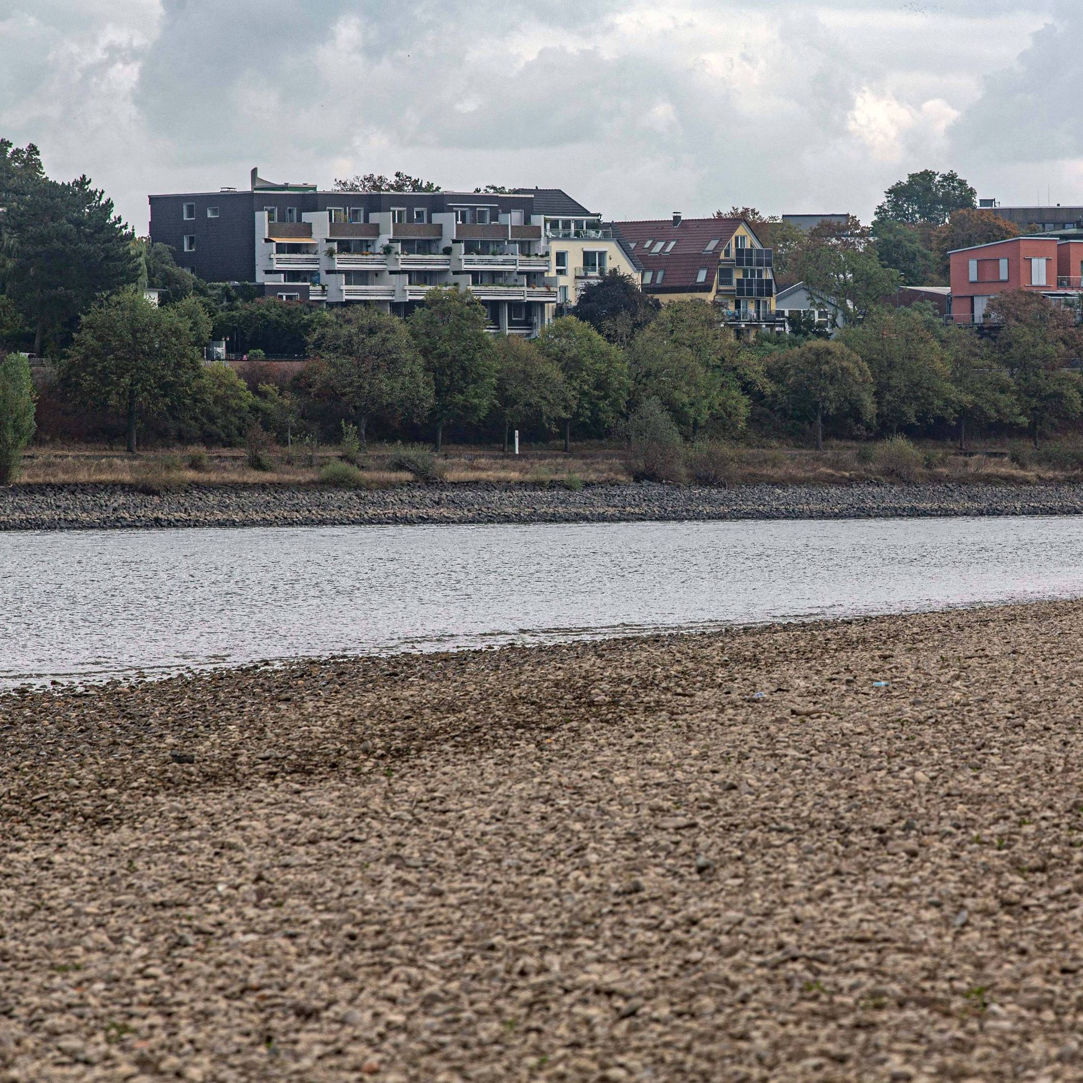 Blick auf das ausgetrocknete Flussbett des Rheins und Porz.