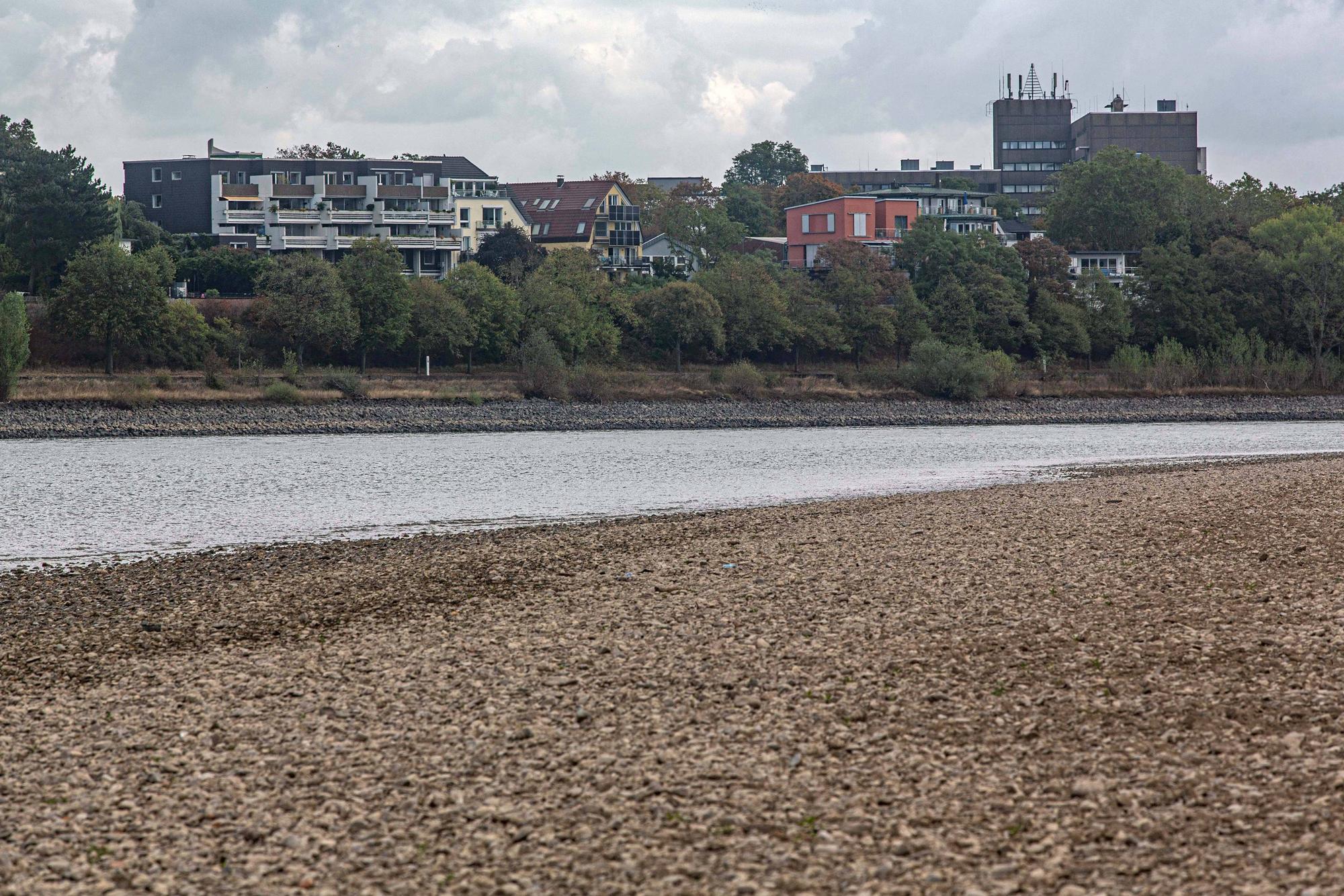 Blick auf das ausgetrocknete Flussbett des Rheins und Porz auf der rechten Rheinseite, gesehen vom Weißer Rheinbogen bei Köln-Sürth.