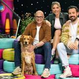 Mit „Top Dog Germany“ hat sich RTL gegen die Fortführung eines Quotengaranten entschieden. Die Show ist auch auf RTL+ abrufbar. (Bild: RTL / Markus Hertrich)