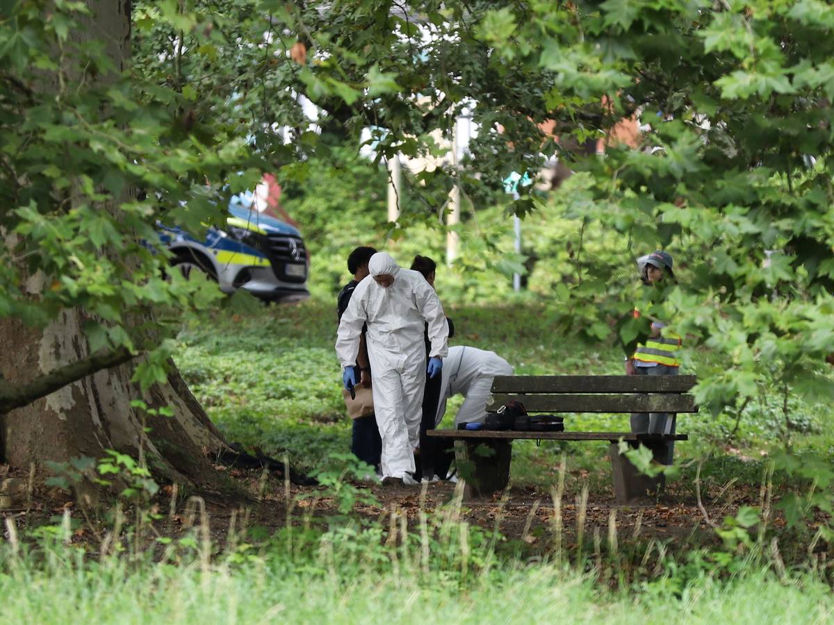 Einsatzkräfte der Polizei in Schutzkleidung arbeiten an einem Tatort in einem Park.