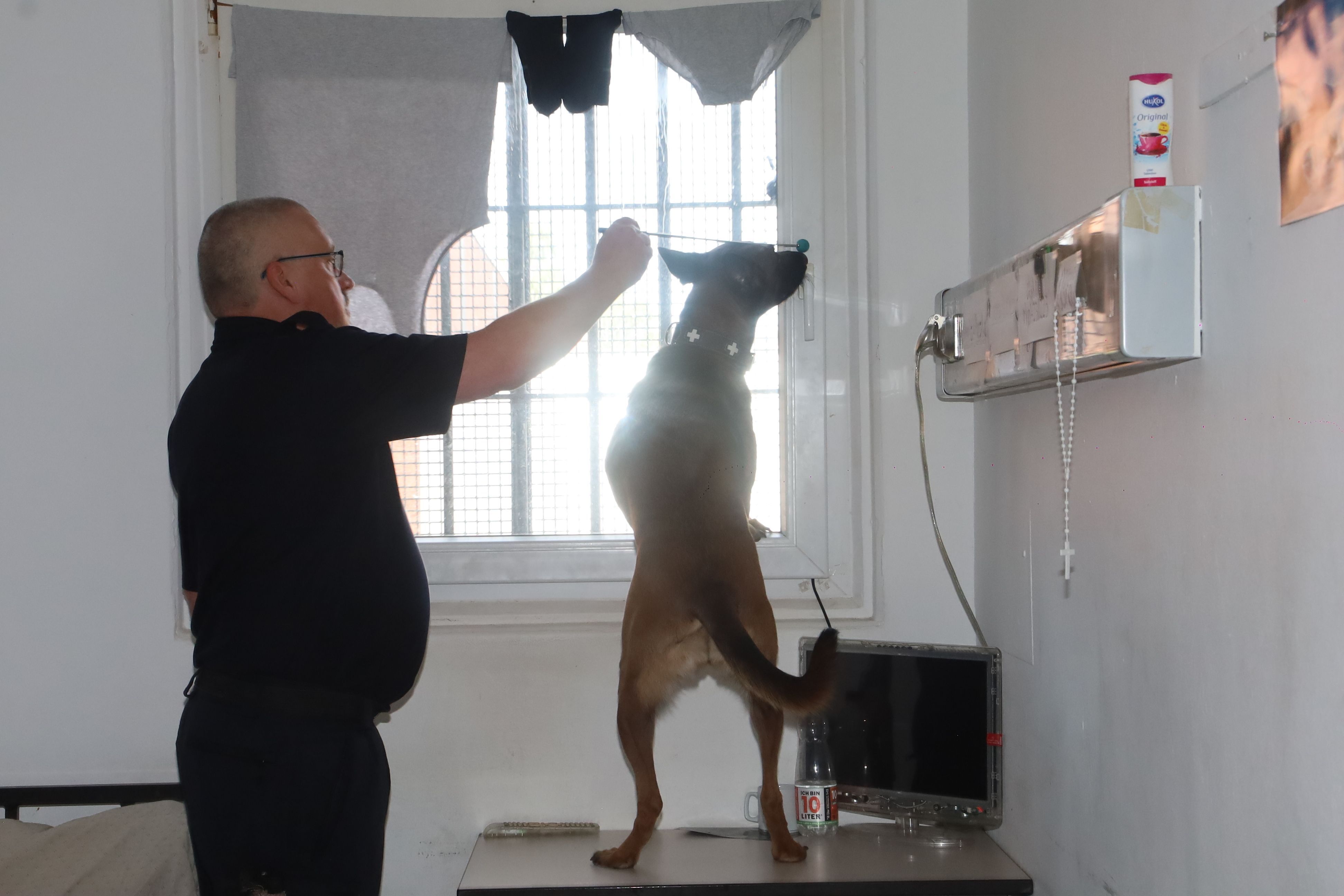 Ein Diensthundeführer durchsucht mit seinem Hund einen Haftraum in der JVA.