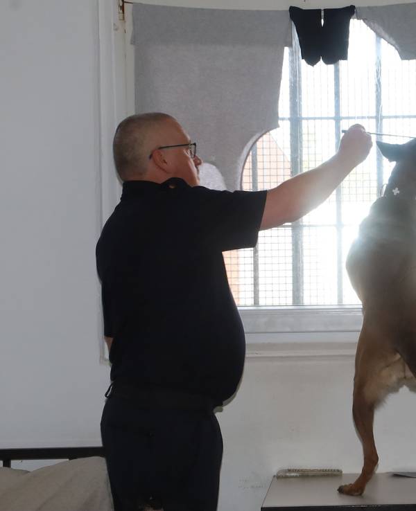 Ein Diensthundeführer durchsucht mit seinem Hund einen Haftraum in der JVA.