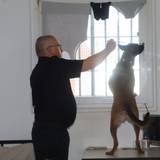 Ein Diensthundeführer durchsucht mit seinem Hund einen Haftraum in der JVA.