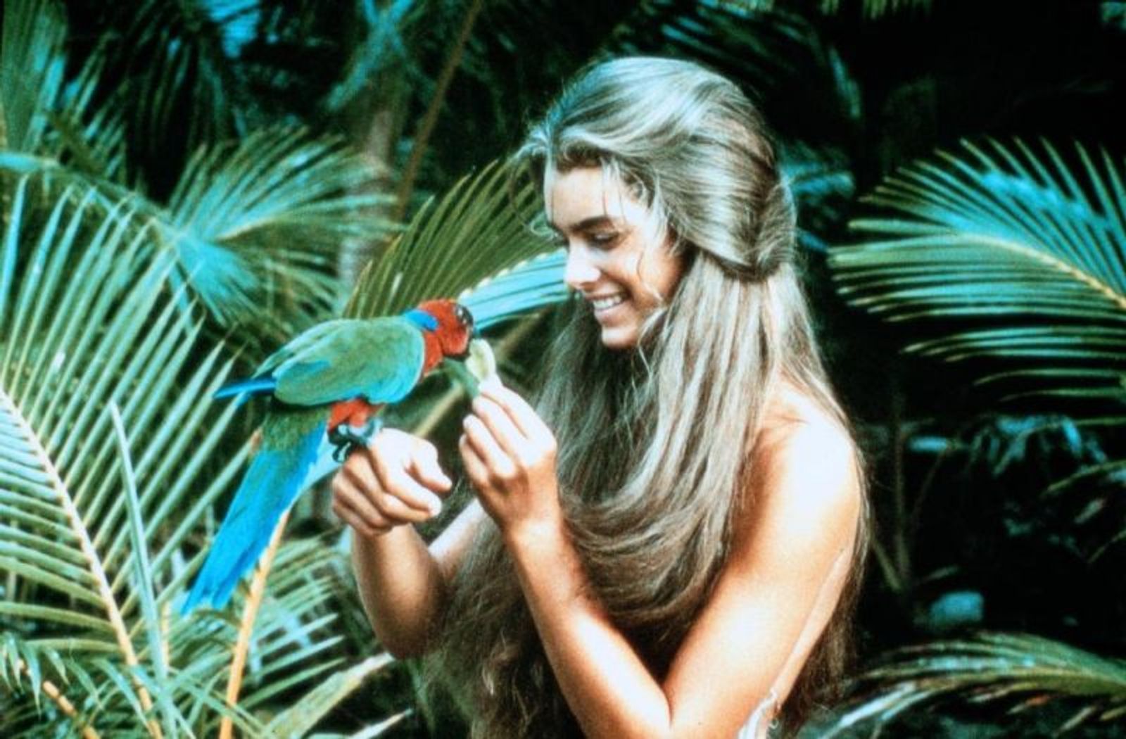 Brooke Shields feierte mit „Die blaue Lagune“ ihren großen Durchbruch, den Ruf als Lolita des Kinos hatte sie bis dato aber schon weg. (Bild: Columbia TriStar Pictures)