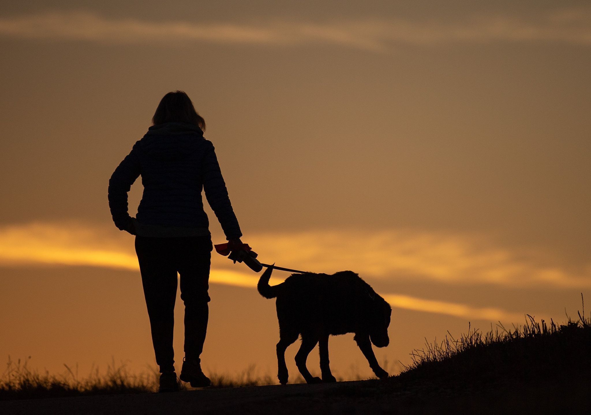 Frau geht am Morgen mit ihrem Hund spazieren