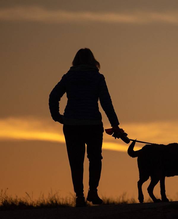 Frau geht am Morgen mit ihrem Hund spazieren