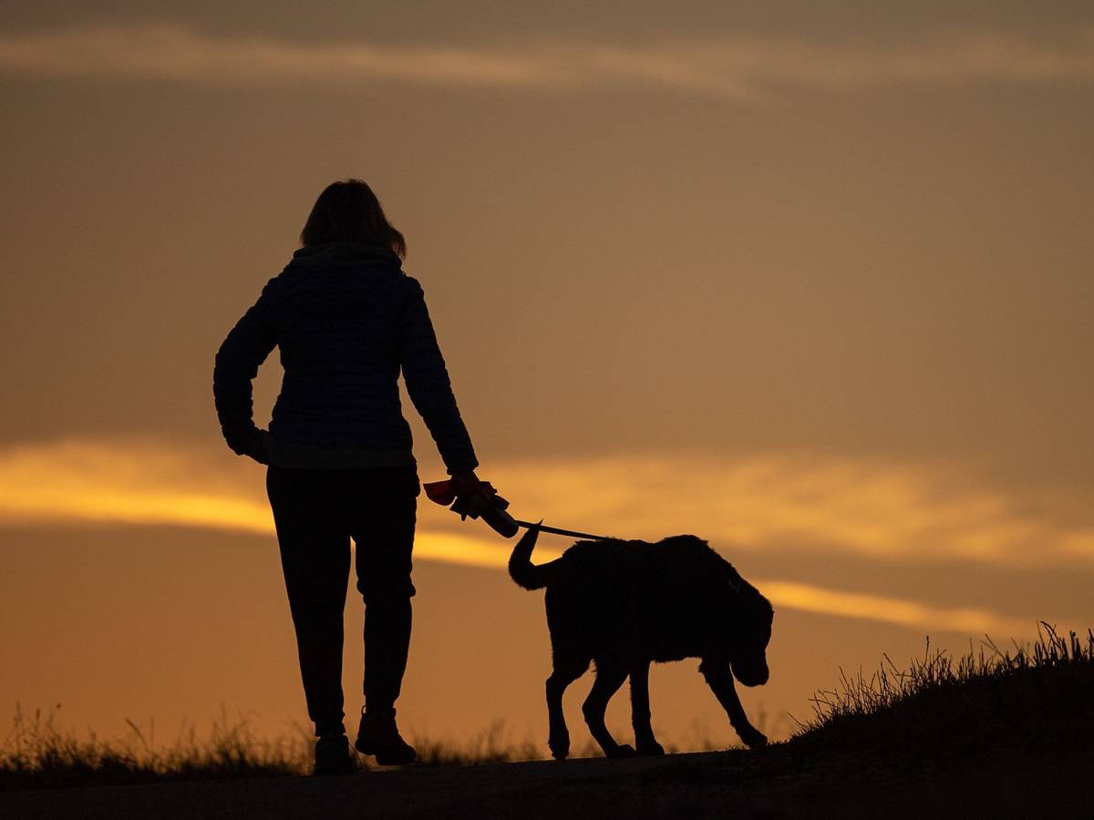 Frau geht am Morgen mit ihrem Hund spazieren
