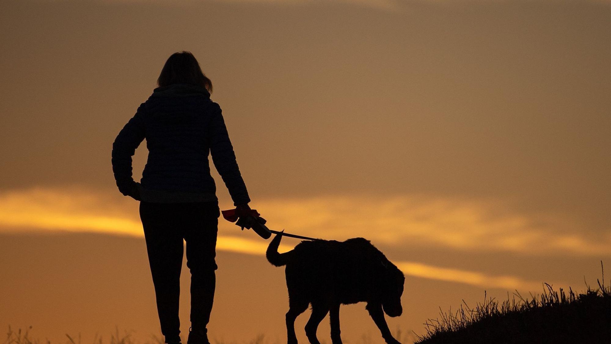 Frau geht am Morgen mit ihrem Hund spazieren