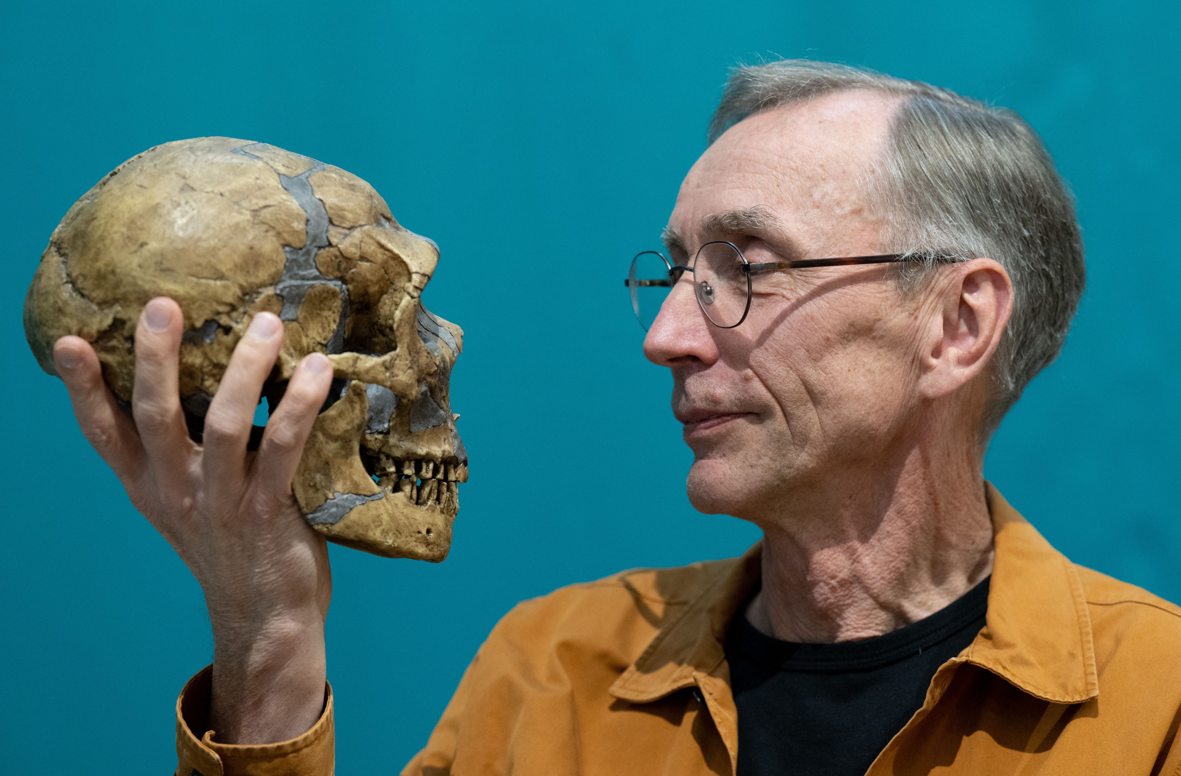 Der schwedische Evolutionsforscher Svante Pääbo hält im Max-Planck-Institut für evolutionäre Anthropologie in Leipzig die Nachbildung eines Neandertaler-Schädels in der Hand.