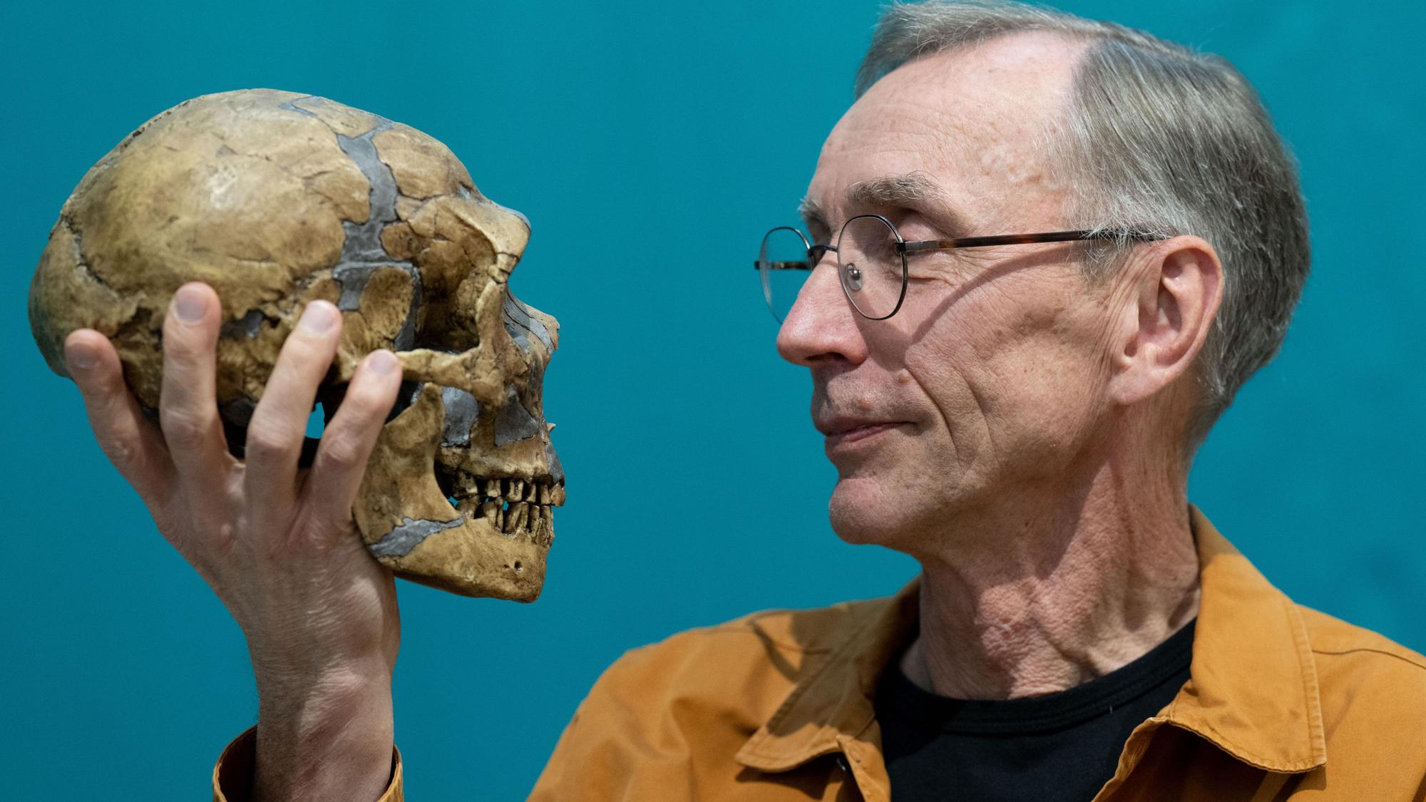 Der schwedische Evolutionsforscher Svante Pääbo hält im Max-Planck-Institut für evolutionäre Anthropologie in Leipzig die Nachbildung eines Neandertaler-Schädels in der Hand.