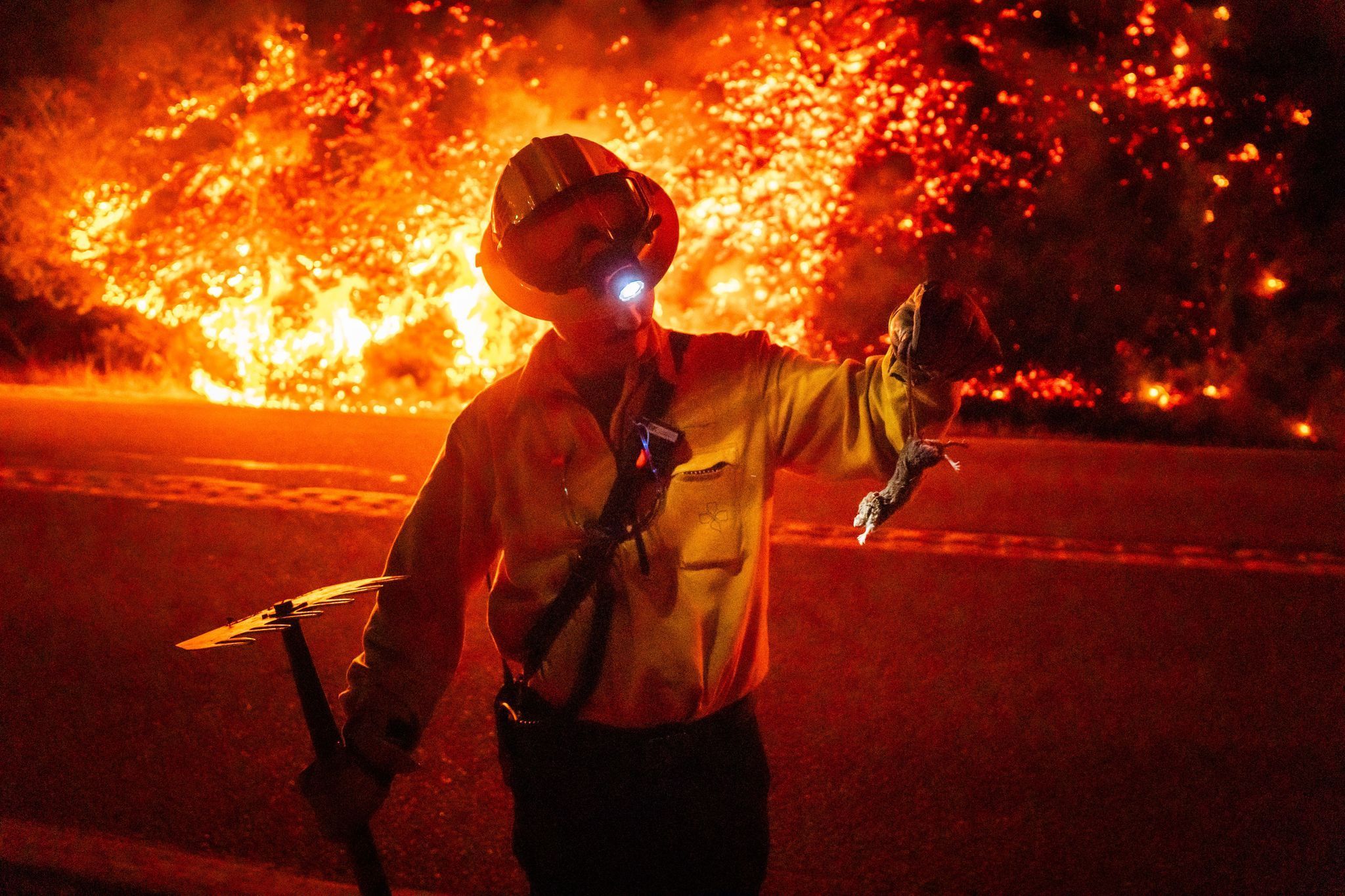 Ein Feuerwehrmann hält ein verletztes Tier in der Hand, während hinter ihm die Flammen wüten.
