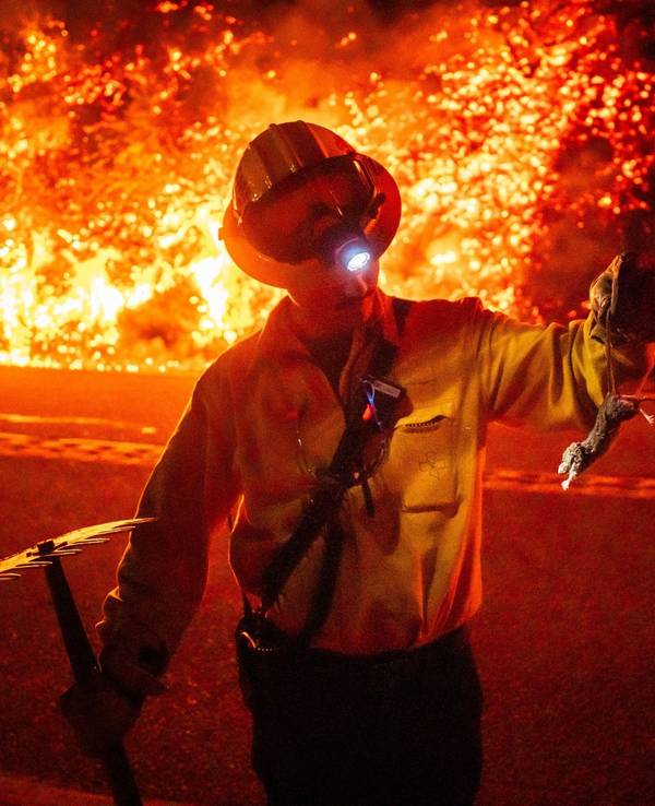 Ein Feuerwehrmann hält ein verletztes Tier in der Hand, während hinter ihm die Flammen wüten.