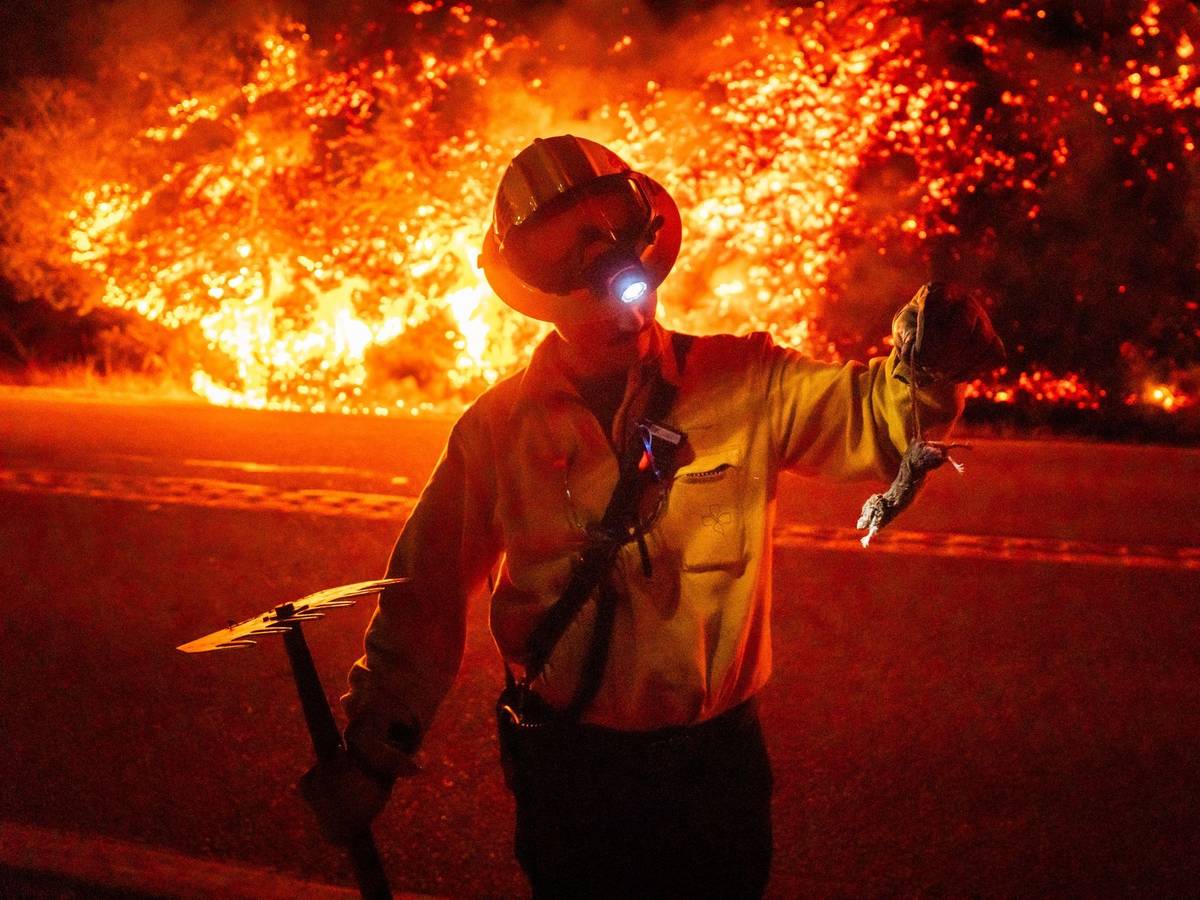 Ein Feuerwehrmann hält ein verletztes Tier in der Hand, während hinter ihm die Flammen wüten.