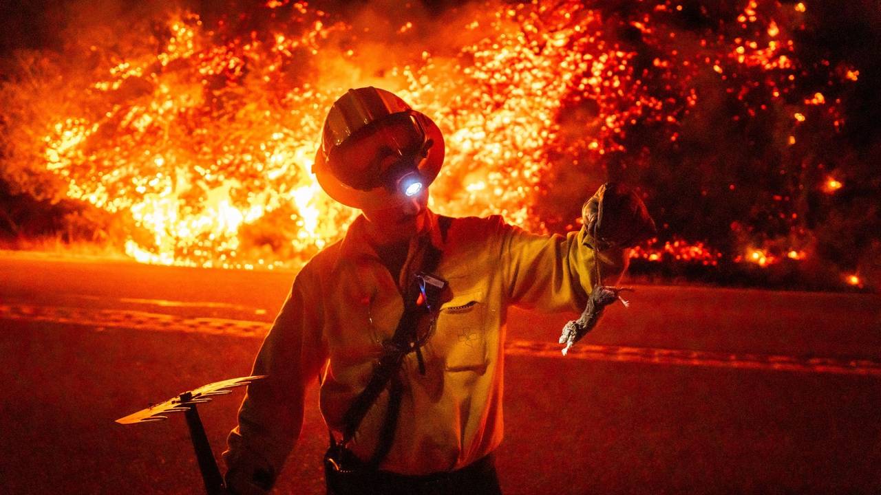 Ein Feuerwehrmann hält ein verletztes Tier in der Hand, während hinter ihm die Flammen wüten.