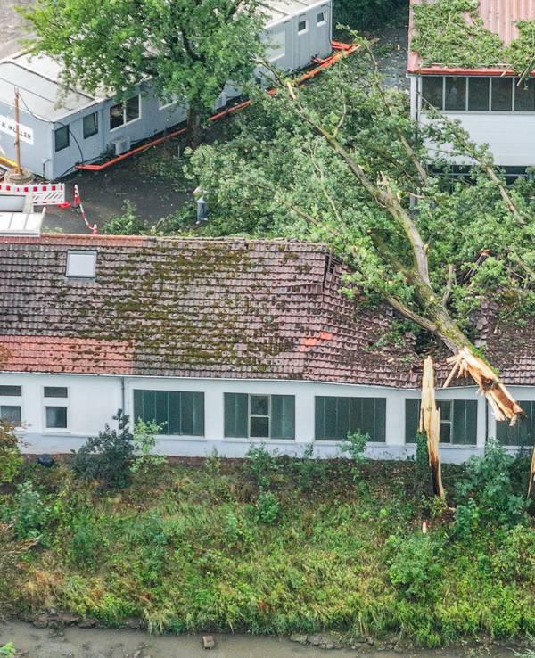 Umgestürzte Bäume auf Gebäude nach Unwetter