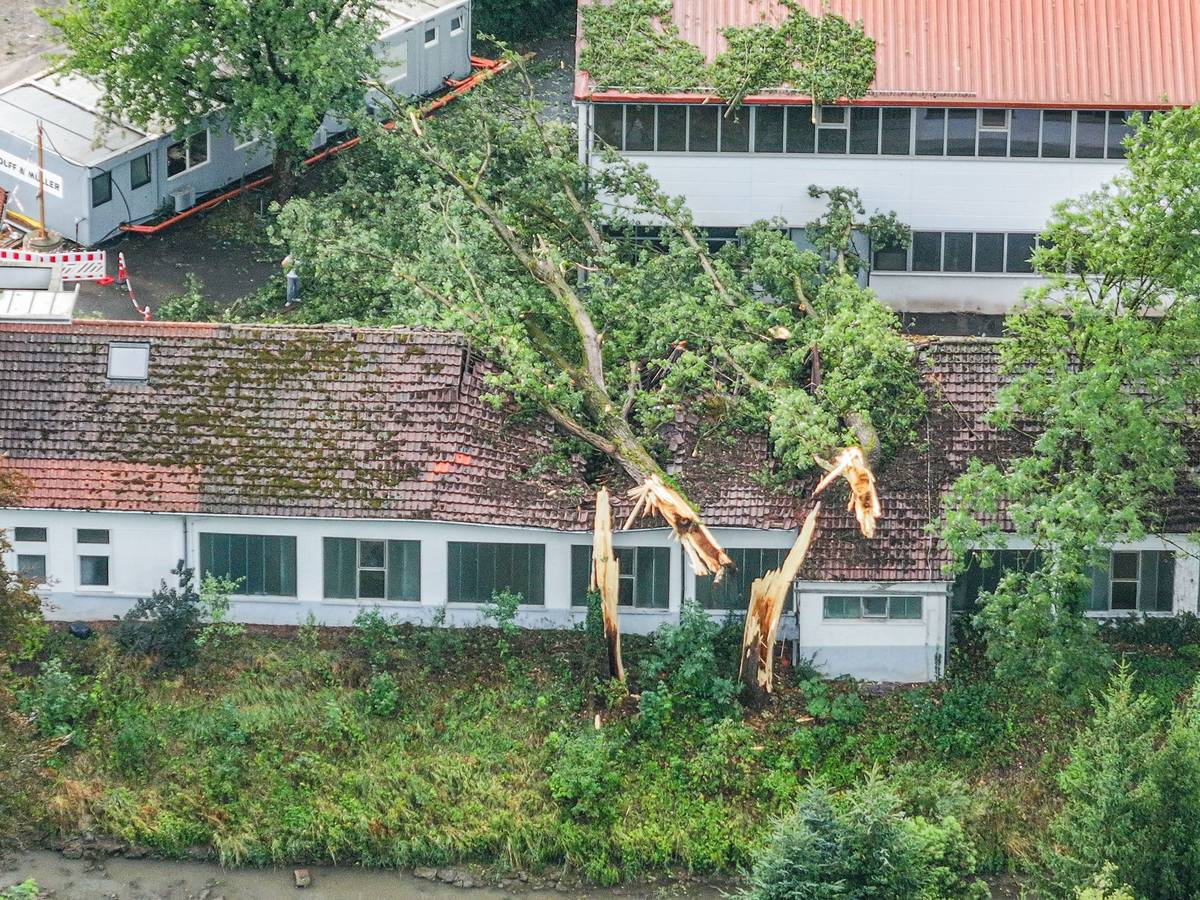 Umgestürzte Bäume auf Gebäude nach Unwetter