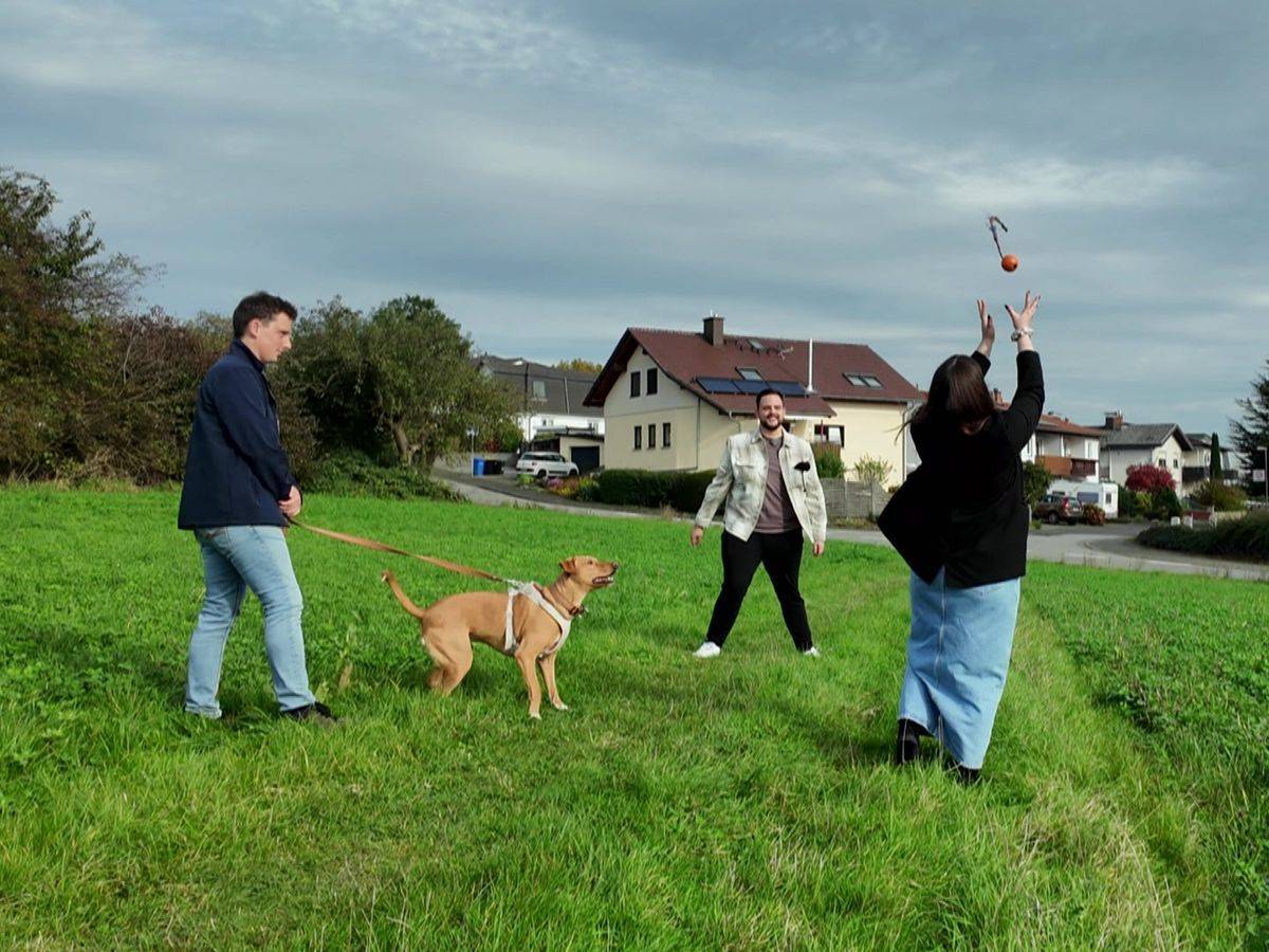 Hundetrainer Marcel (links) trainiert mit Maurice, Marie und ihrem Hund Carlo. (Bild: RTL)