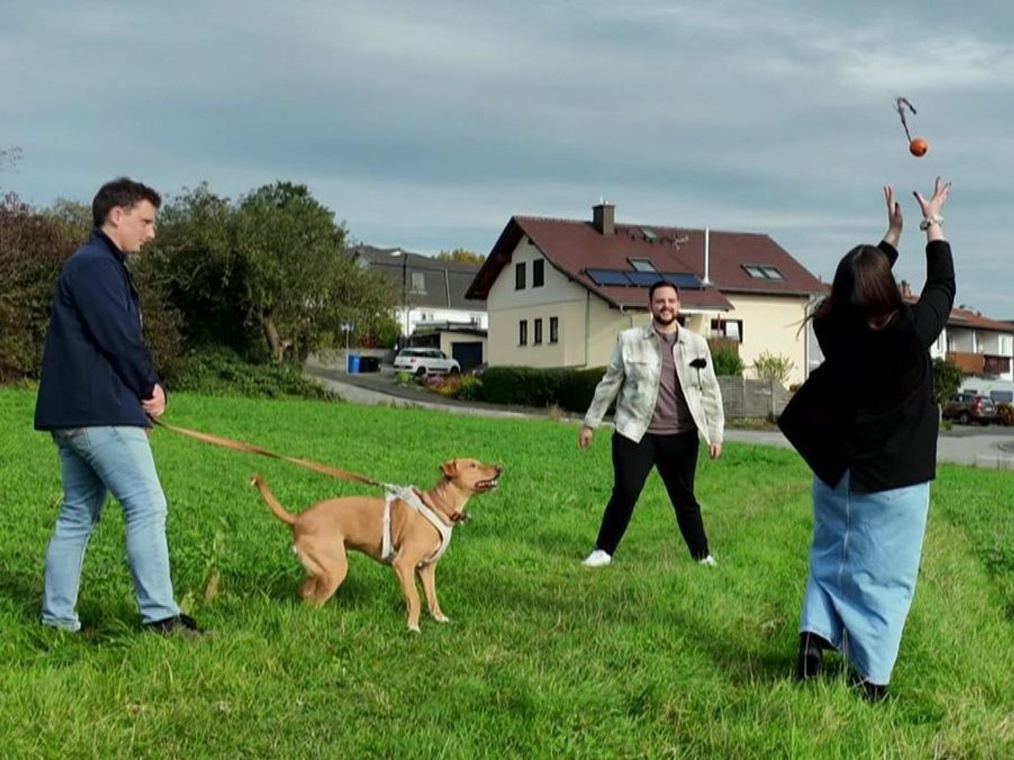 Hundetrainer Marcel (links) trainiert mit Maurice, Marie und ihrem Hund Carlo. (Bild: RTL)