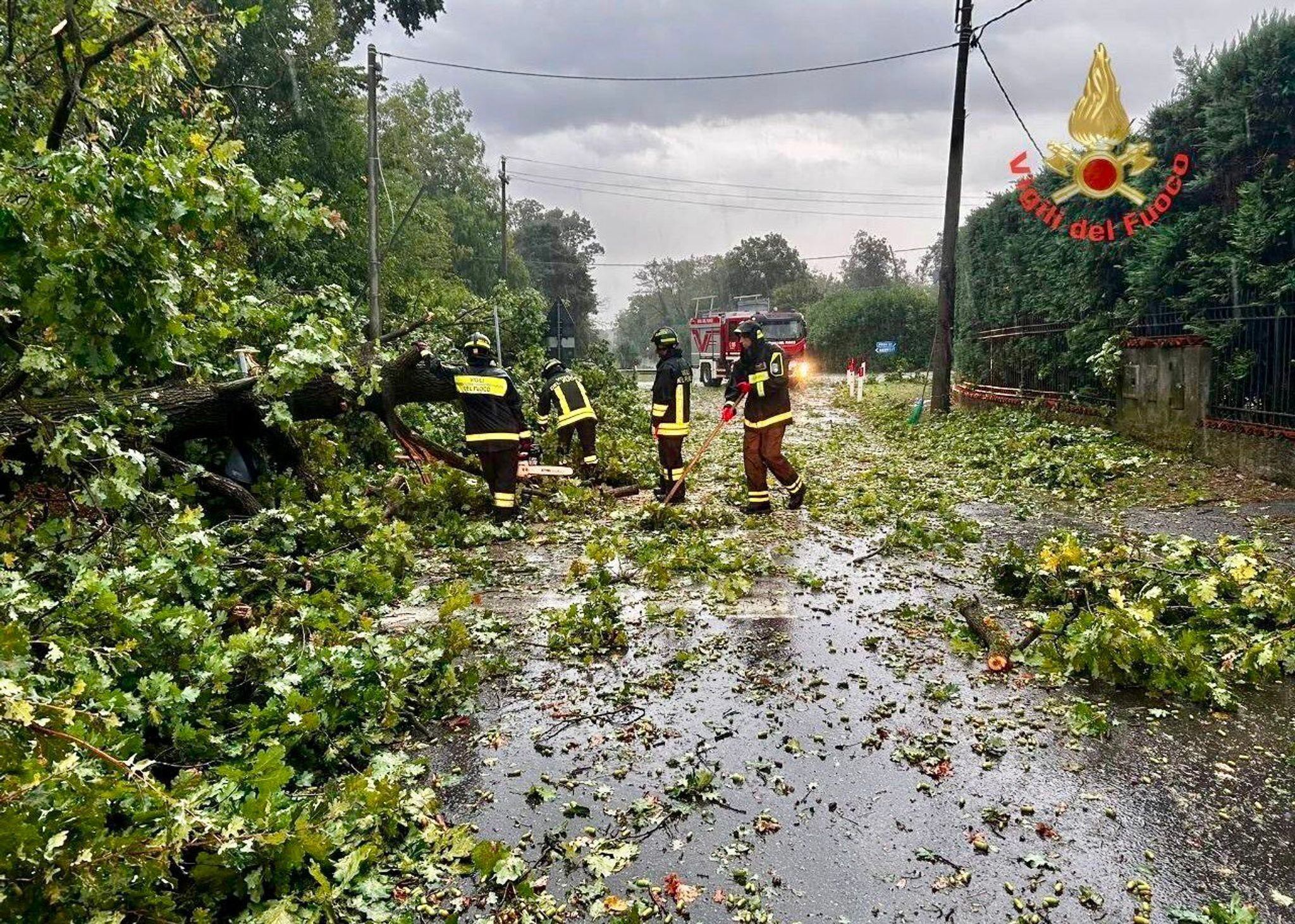 Vier Feuerwehrmänner sind auf einer Straße im Einsatz, auf der Baumäste liegen.