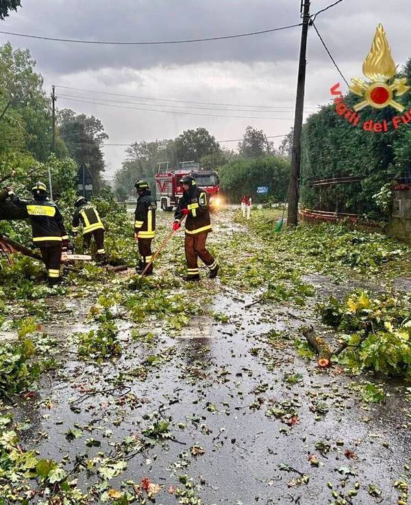 Vier Feuerwehrmänner sind auf einer Straße im Einsatz, auf der Baumäste liegen.