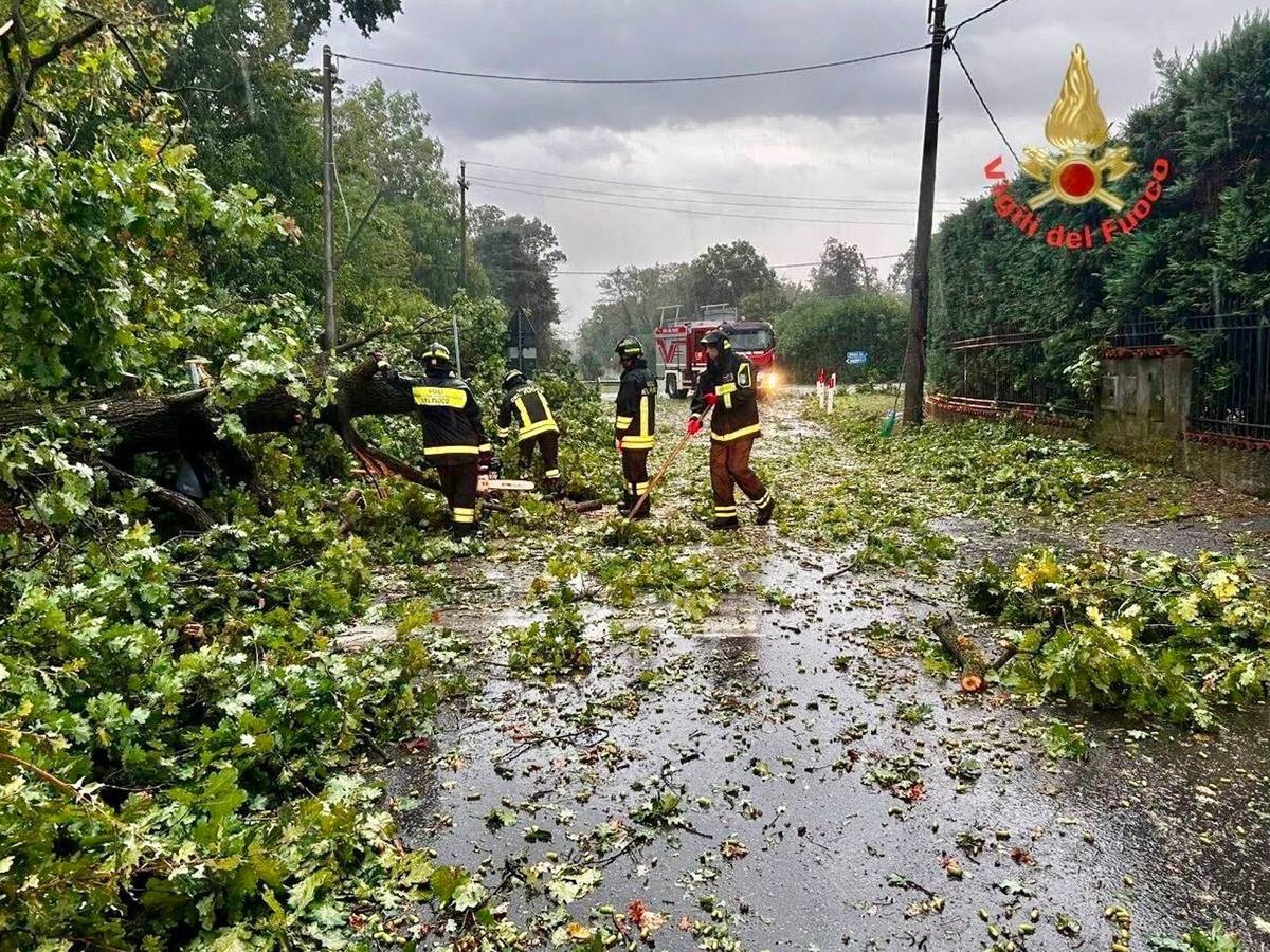 Vier Feuerwehrmänner sind auf einer Straße im Einsatz, auf der Baumäste liegen.