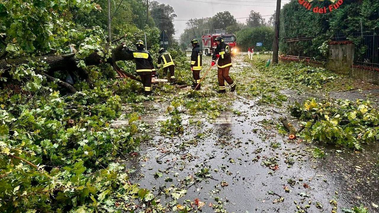 Vier Feuerwehrmänner sind auf einer Straße im Einsatz, auf der Baumäste liegen.