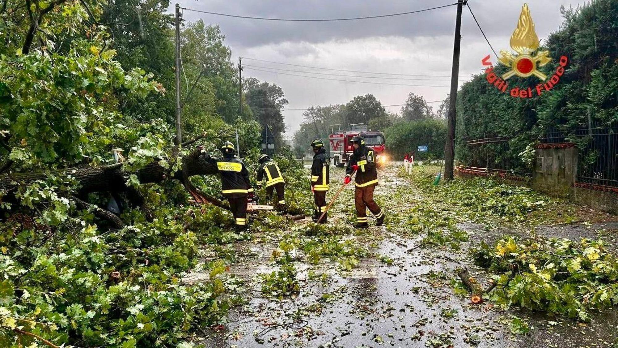 Vier Feuerwehrmänner sind auf einer Straße im Einsatz, auf der Baumäste liegen.