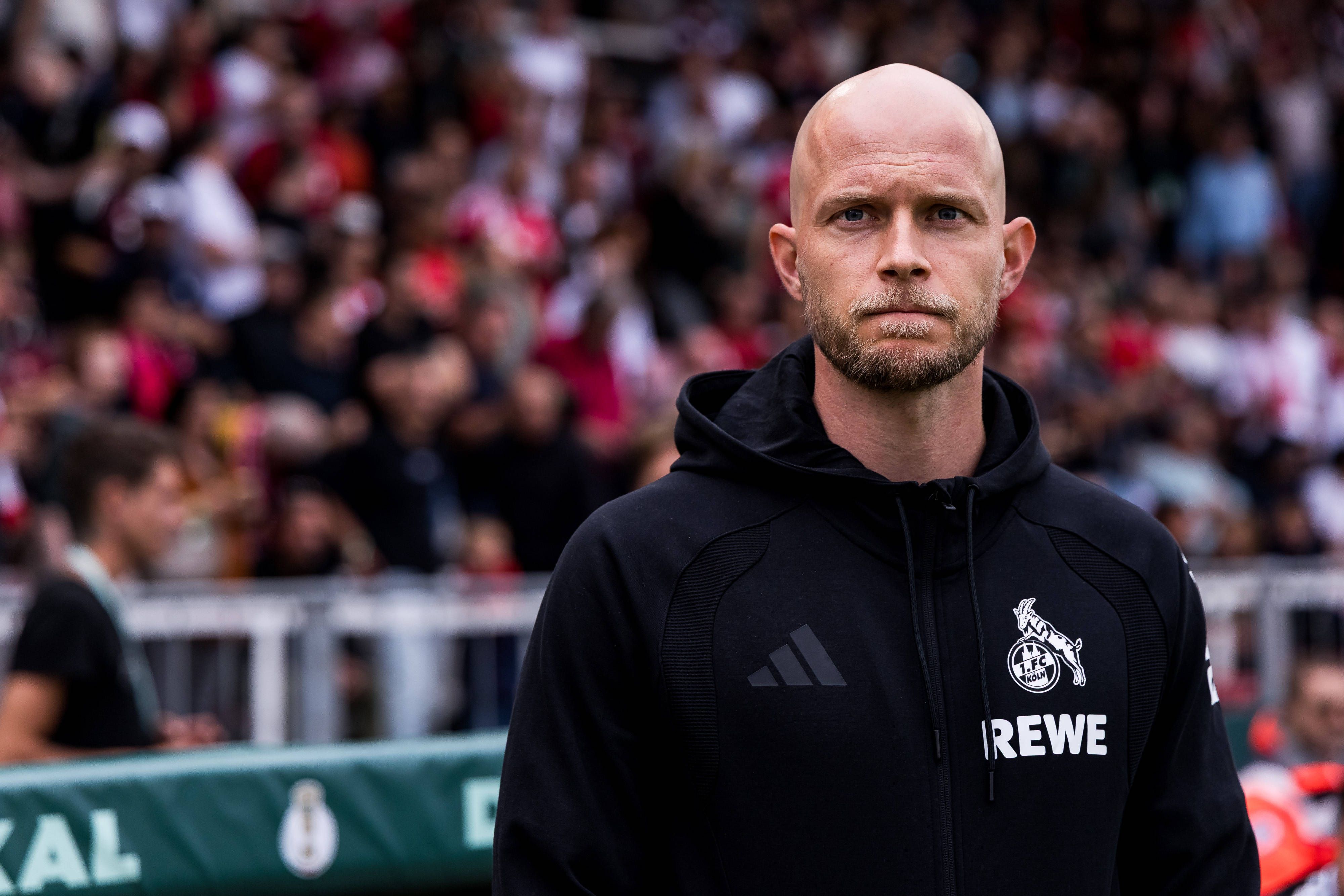 René Wagner beim 1. FC Köln vor der Trainerbank.