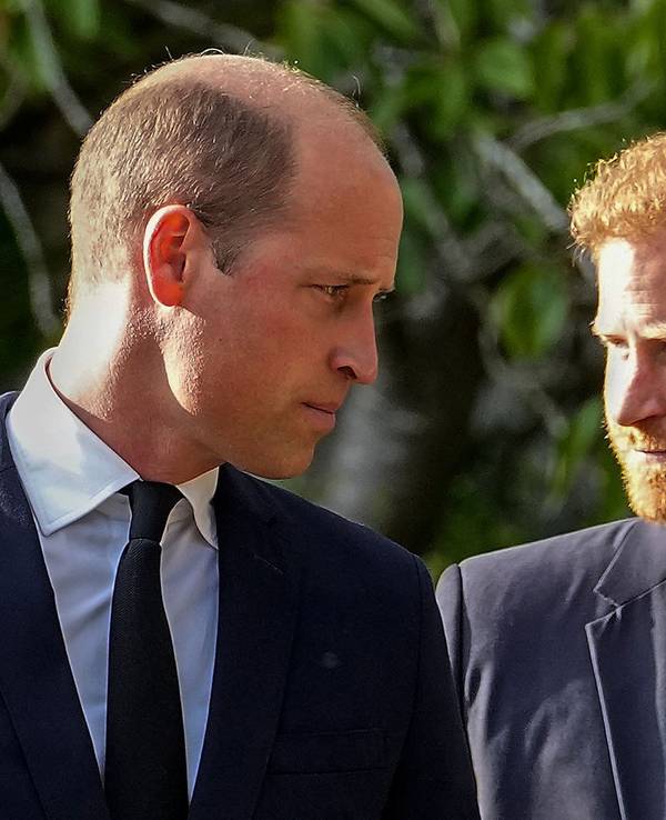 Prinz William und Prinz Harry stehen nebeneinander.