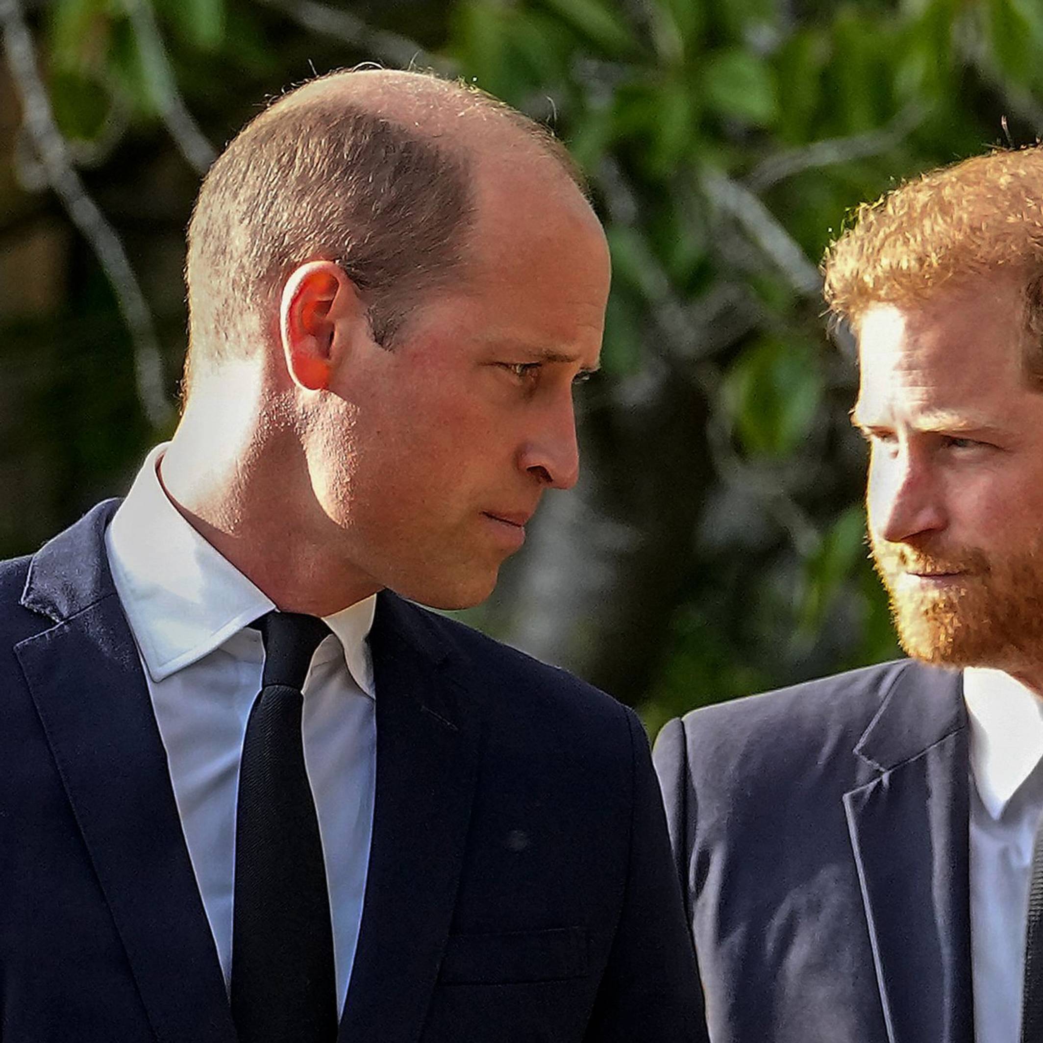 Prinz William und Prinz Harry stehen nebeneinander.