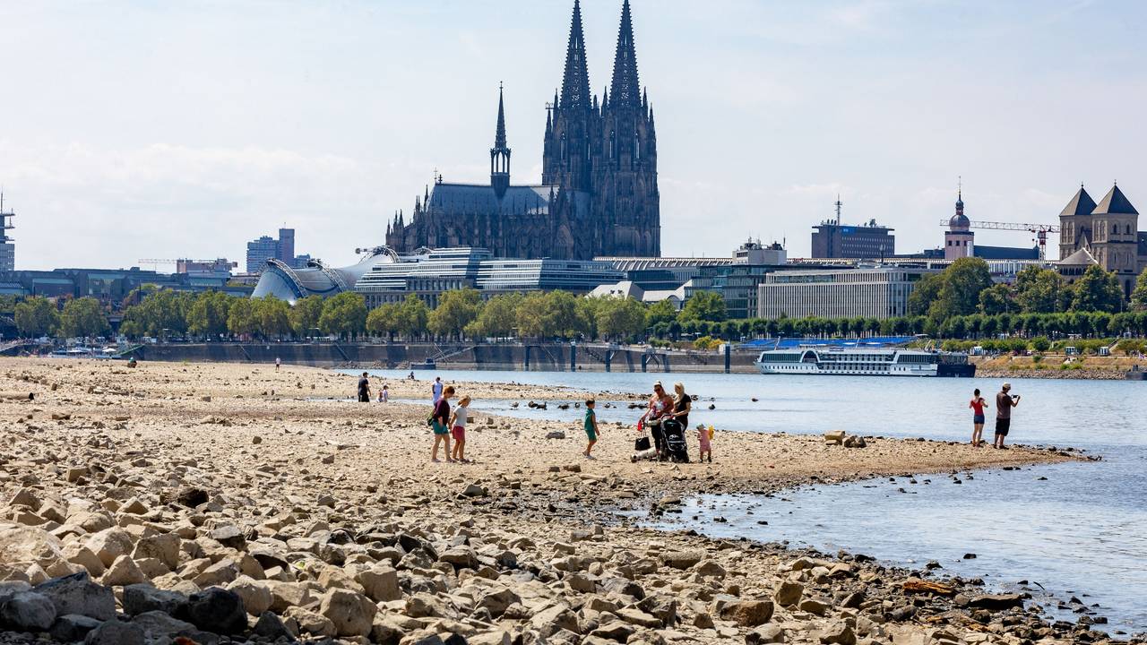 Rhein Anfang August 2026.