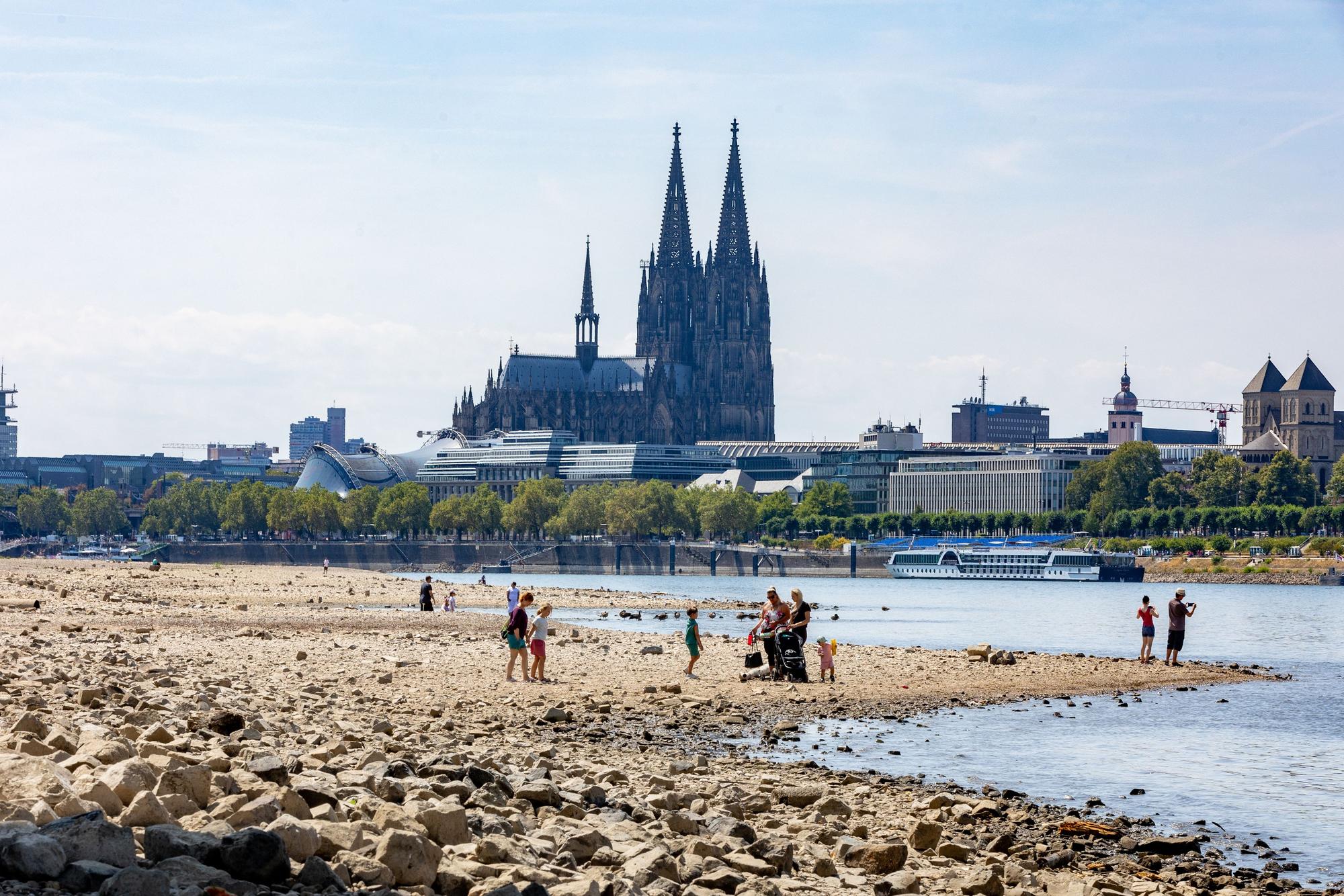 Rhein Anfang August 2026.